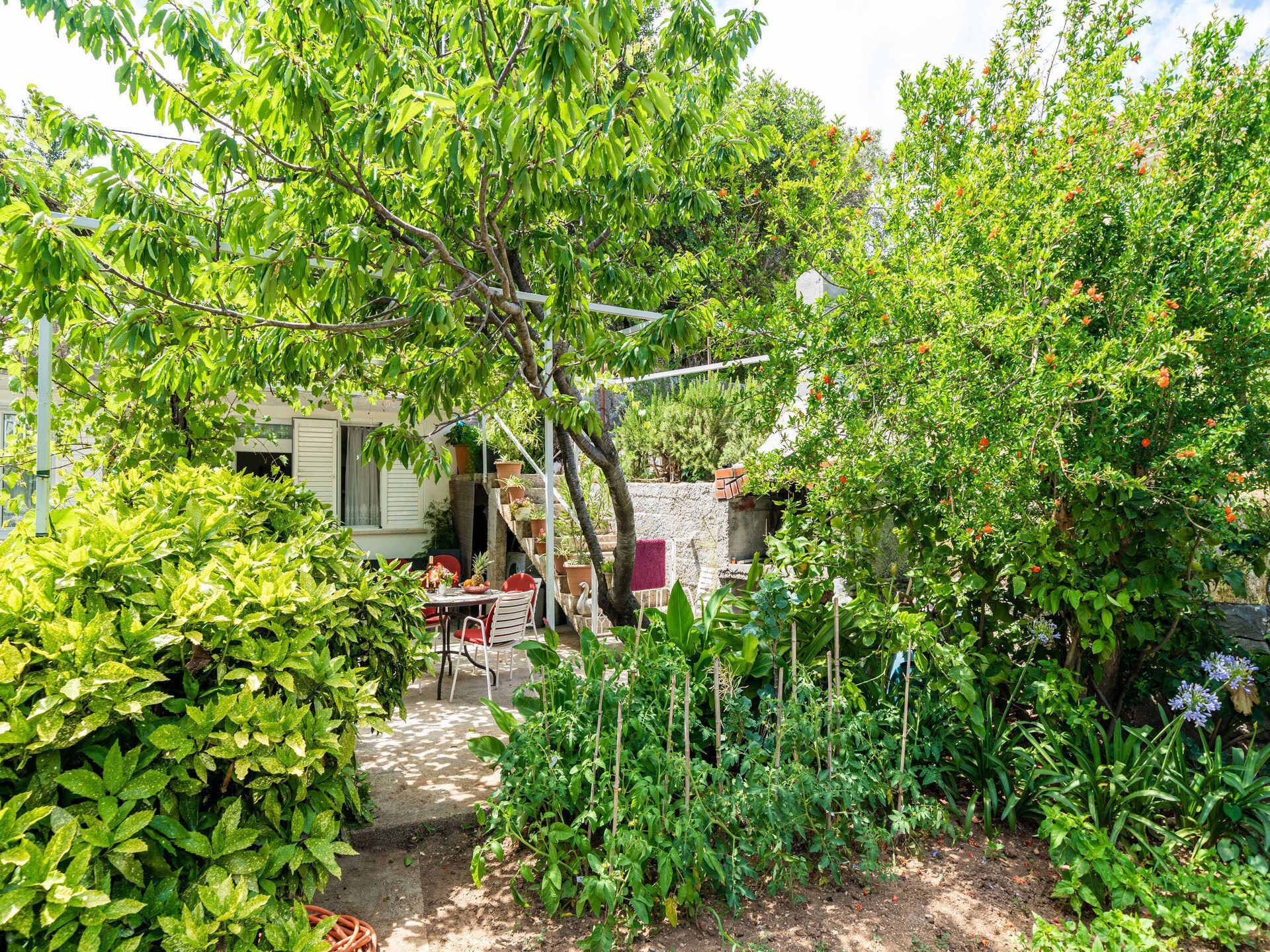 Licht appartement met terras in Zaton nabij Dubrovnik - foto 13