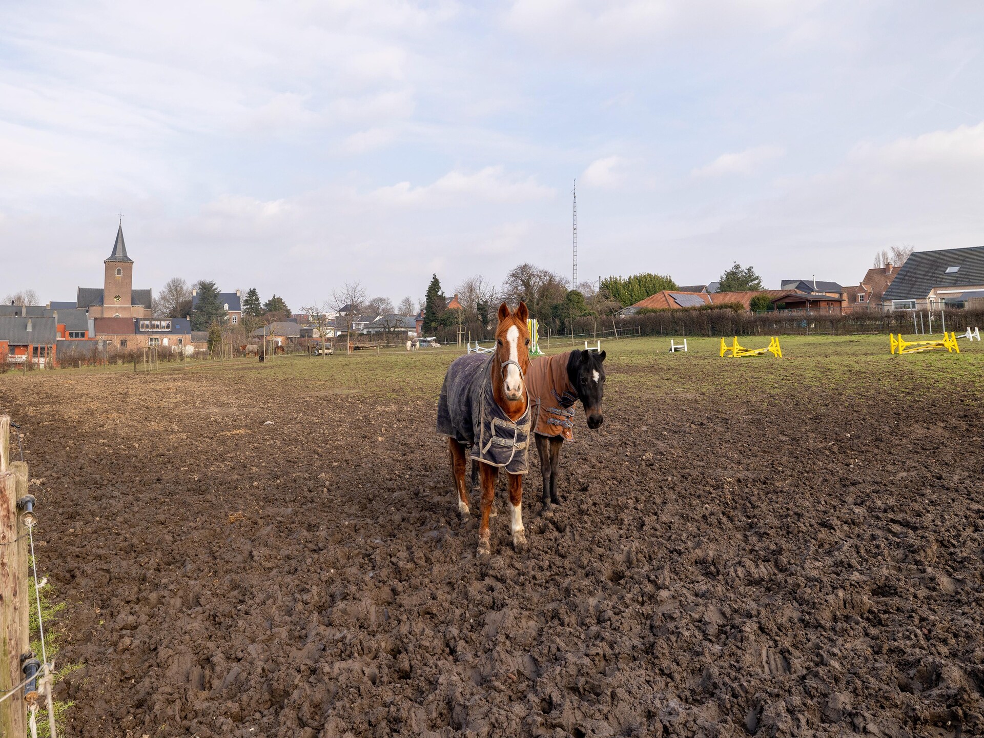 Uniek vakantiehuis op actieve manege in Sint-Truiden voor 7 personen - foto 27