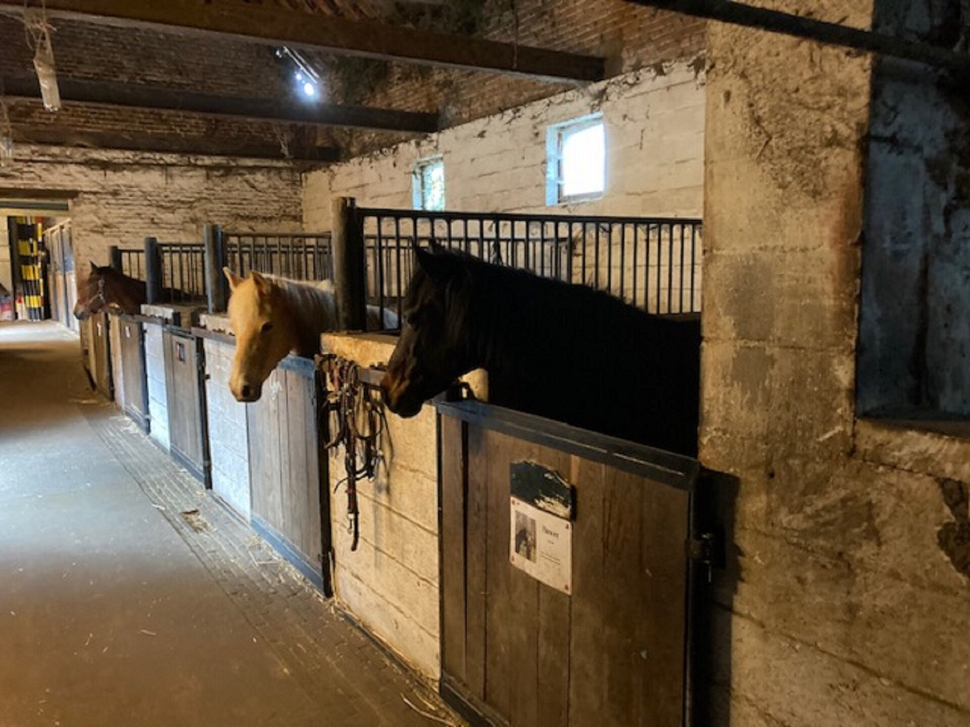 Uniek vakantiehuis op actieve manege in Sint-Truiden voor 7 personen - foto 20
