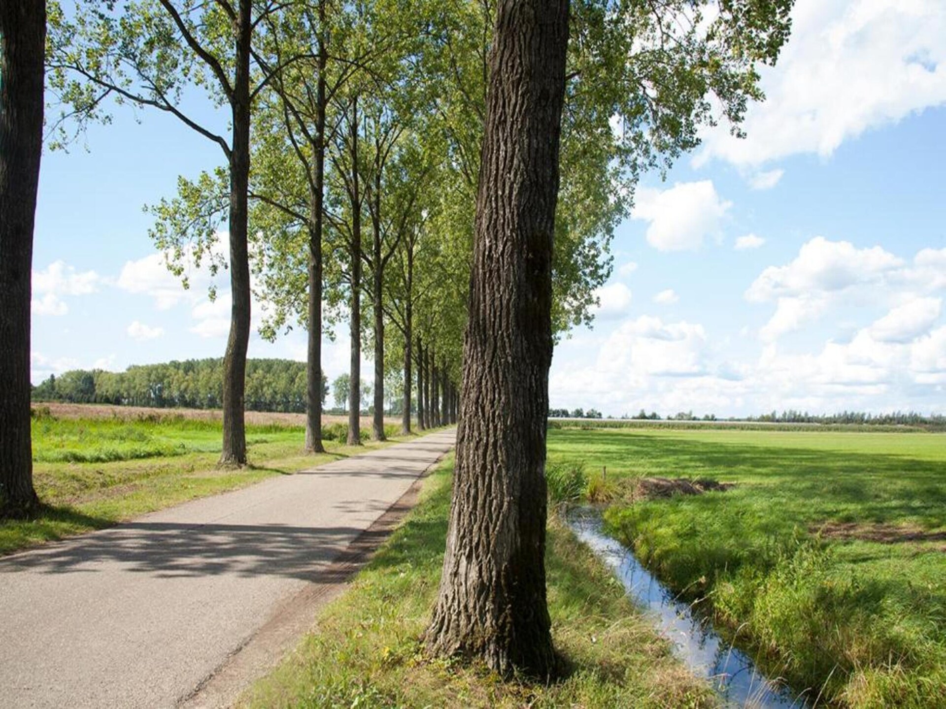 MarinaPark Bad Nederrijn 5: Luxe vakantiehuis aan het water in Maurik - foto 27