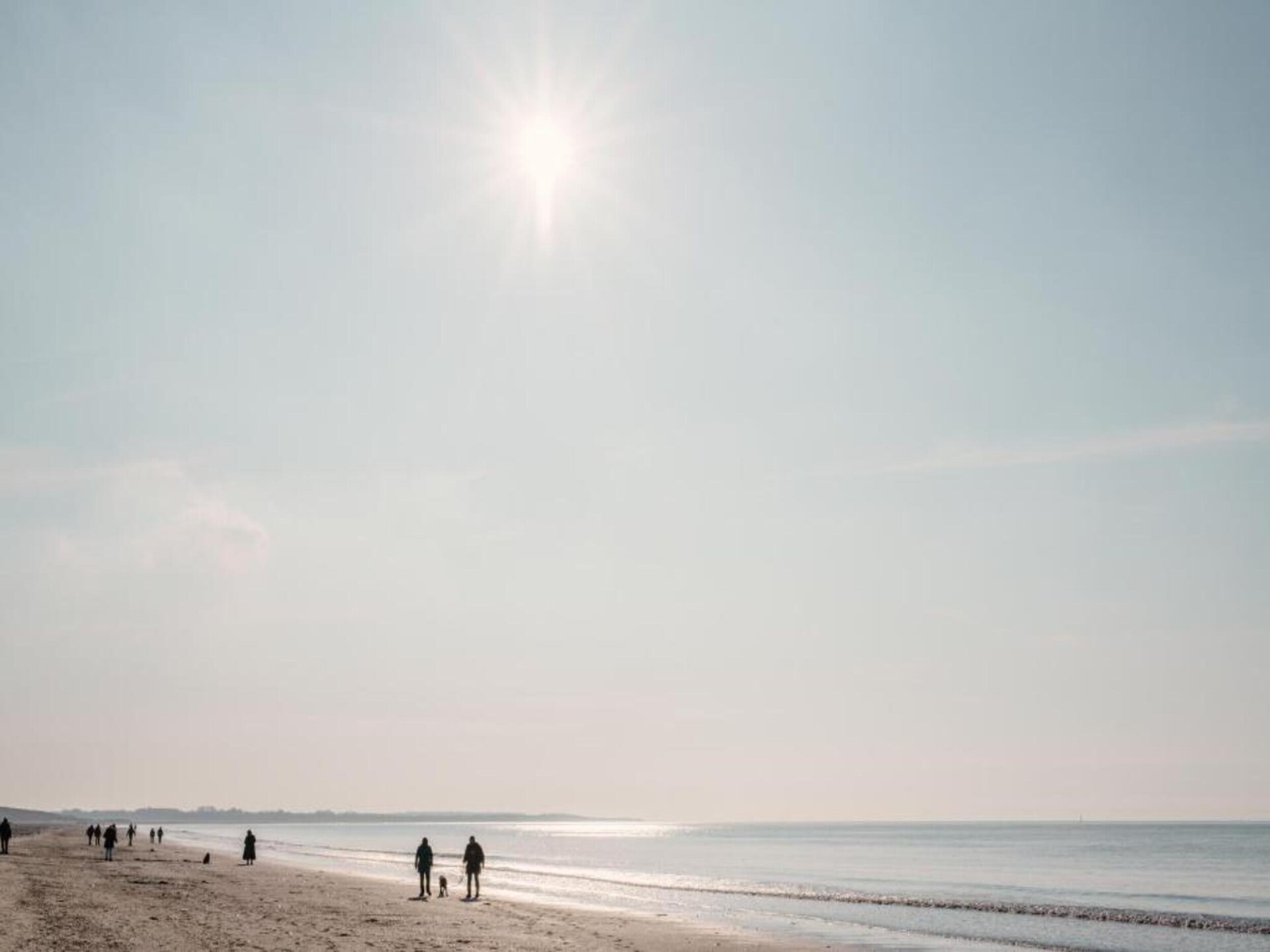 Vrijstaande lodge op autovrij park, 1 km van Noordzeestrand - foto 36