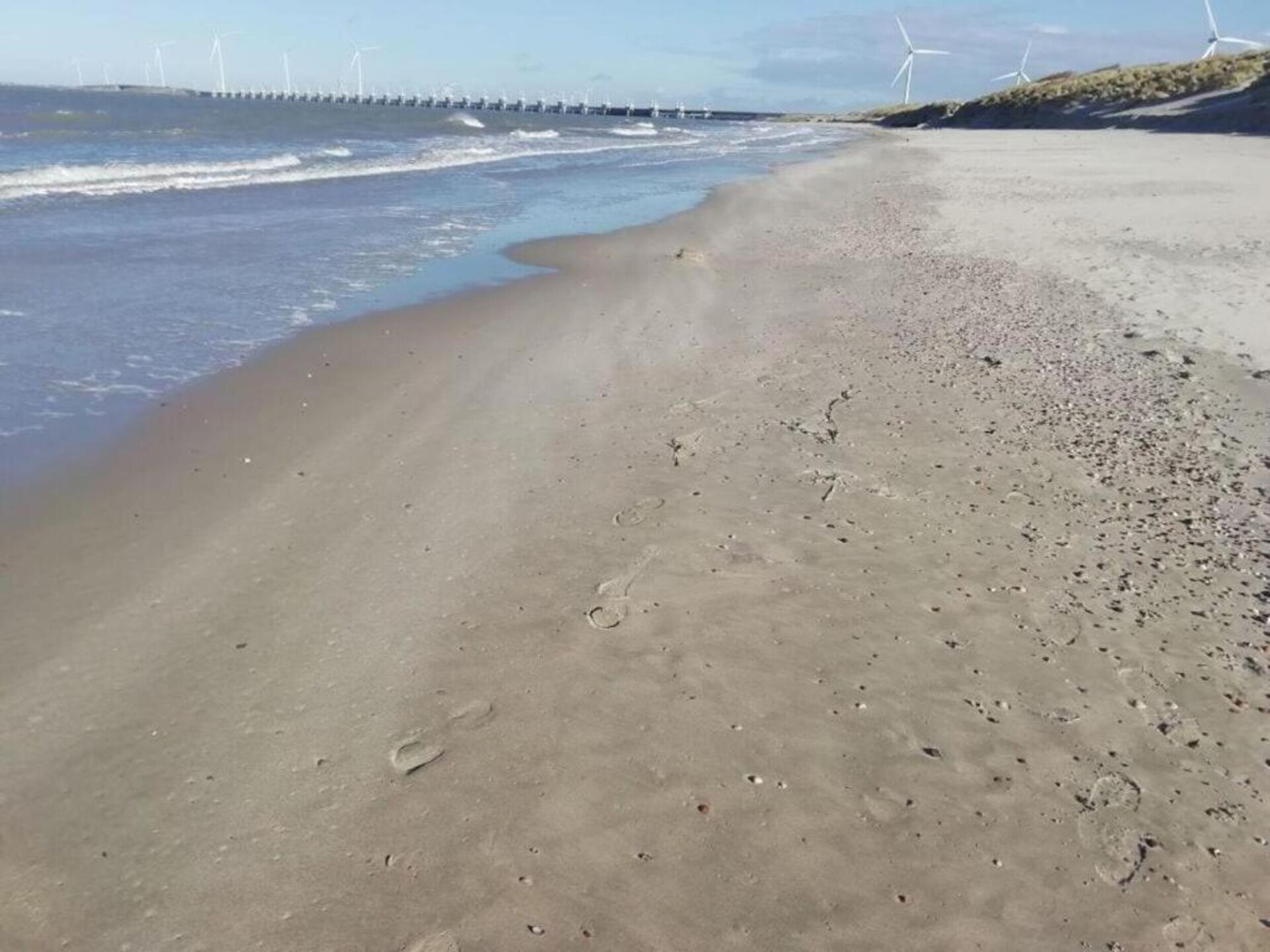 Vrijstaande lodge op autovrij park, 1 km van Noordzeestrand - foto 29