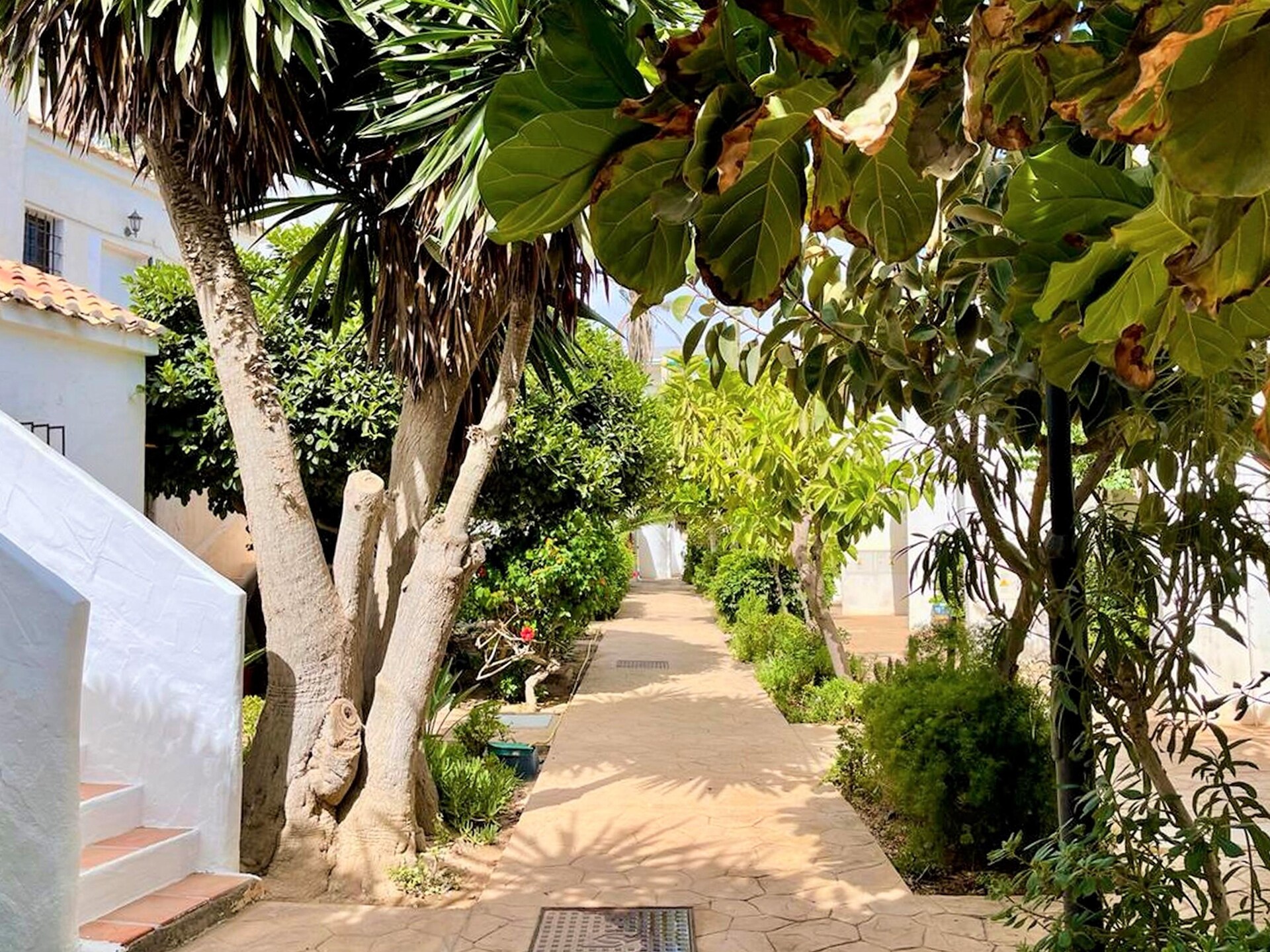 6-persoons vakantiehuis aan het strand in Roquetas de Mar - foto 26