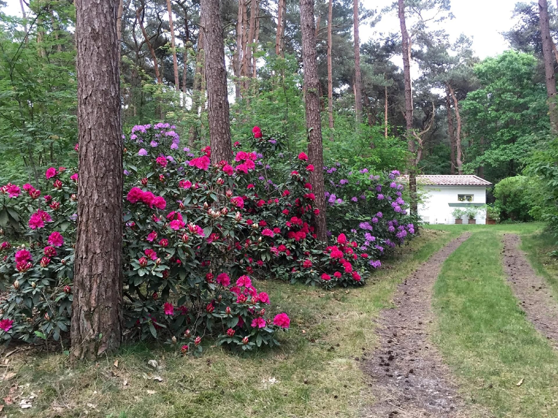 Gezellige bungalow voor twee in het groen van Lille - foto 7