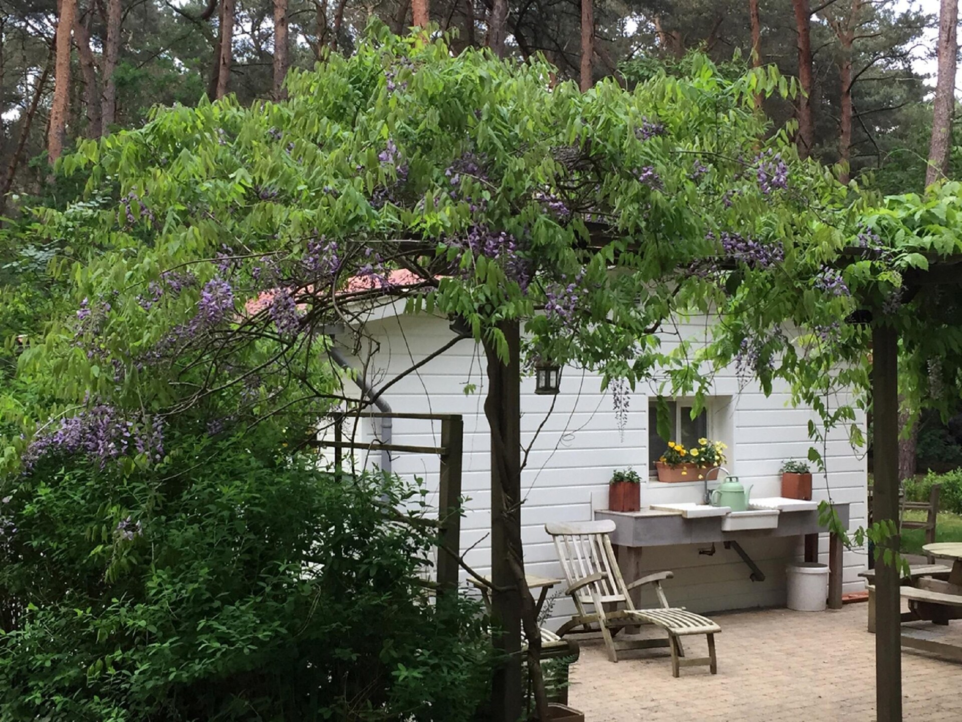 Gezellige bungalow voor twee in het groen van Lille - foto 10