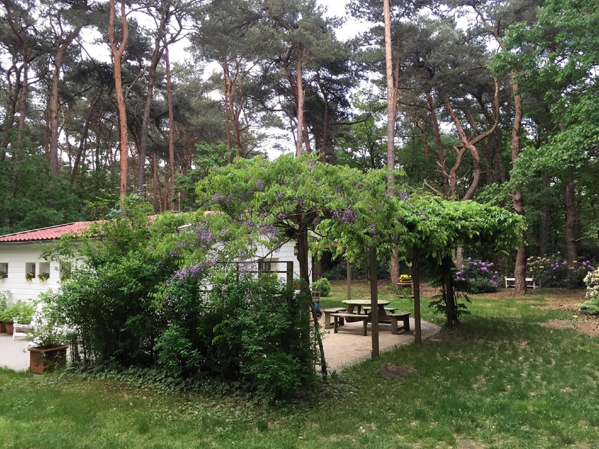 Gezellige bungalow voor twee in het groen van Lille - foto 11