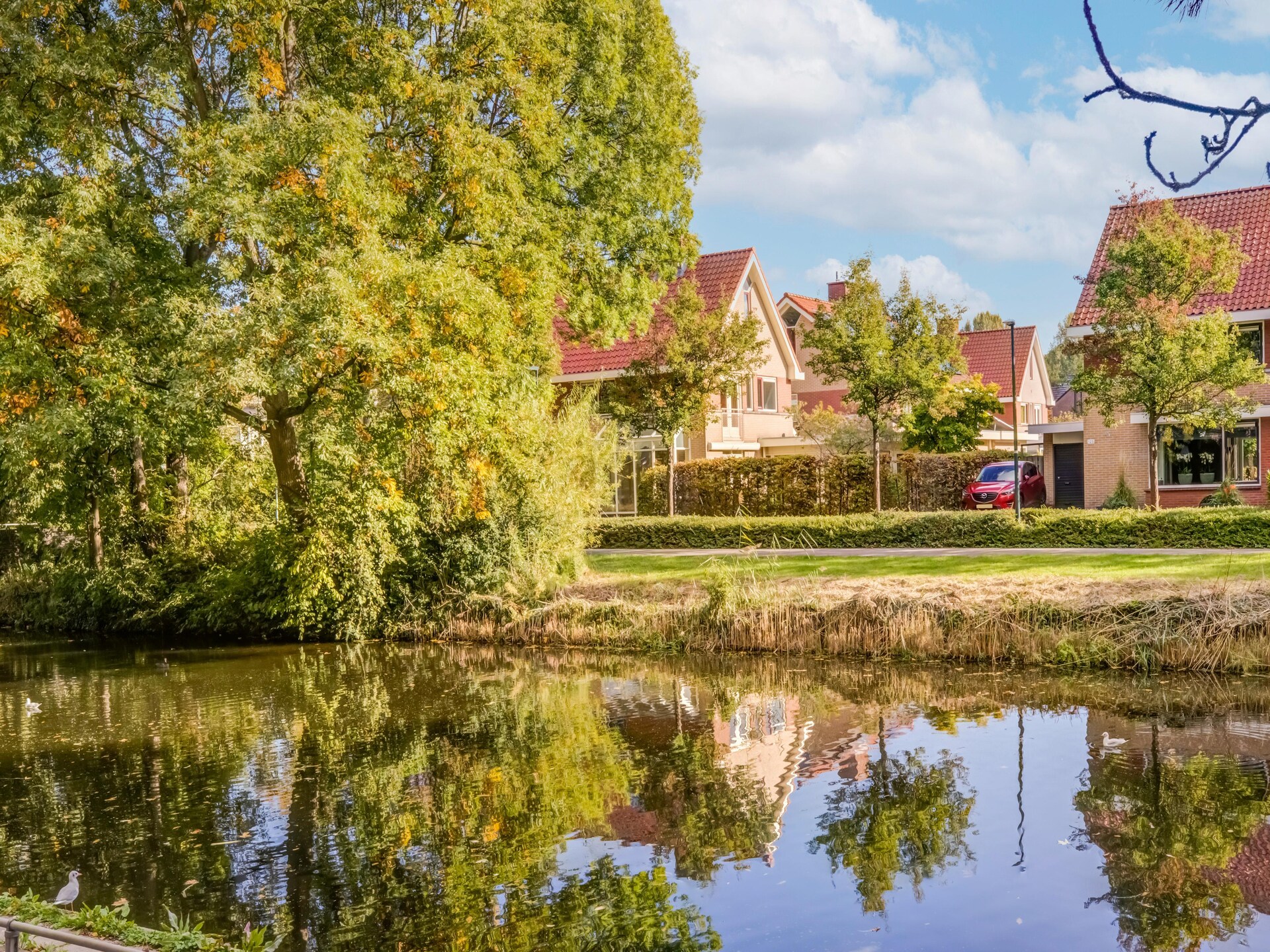 Vrijstaand vakantiehuis Blauw in Hoorn, nabij strand en golfbaan - foto 31