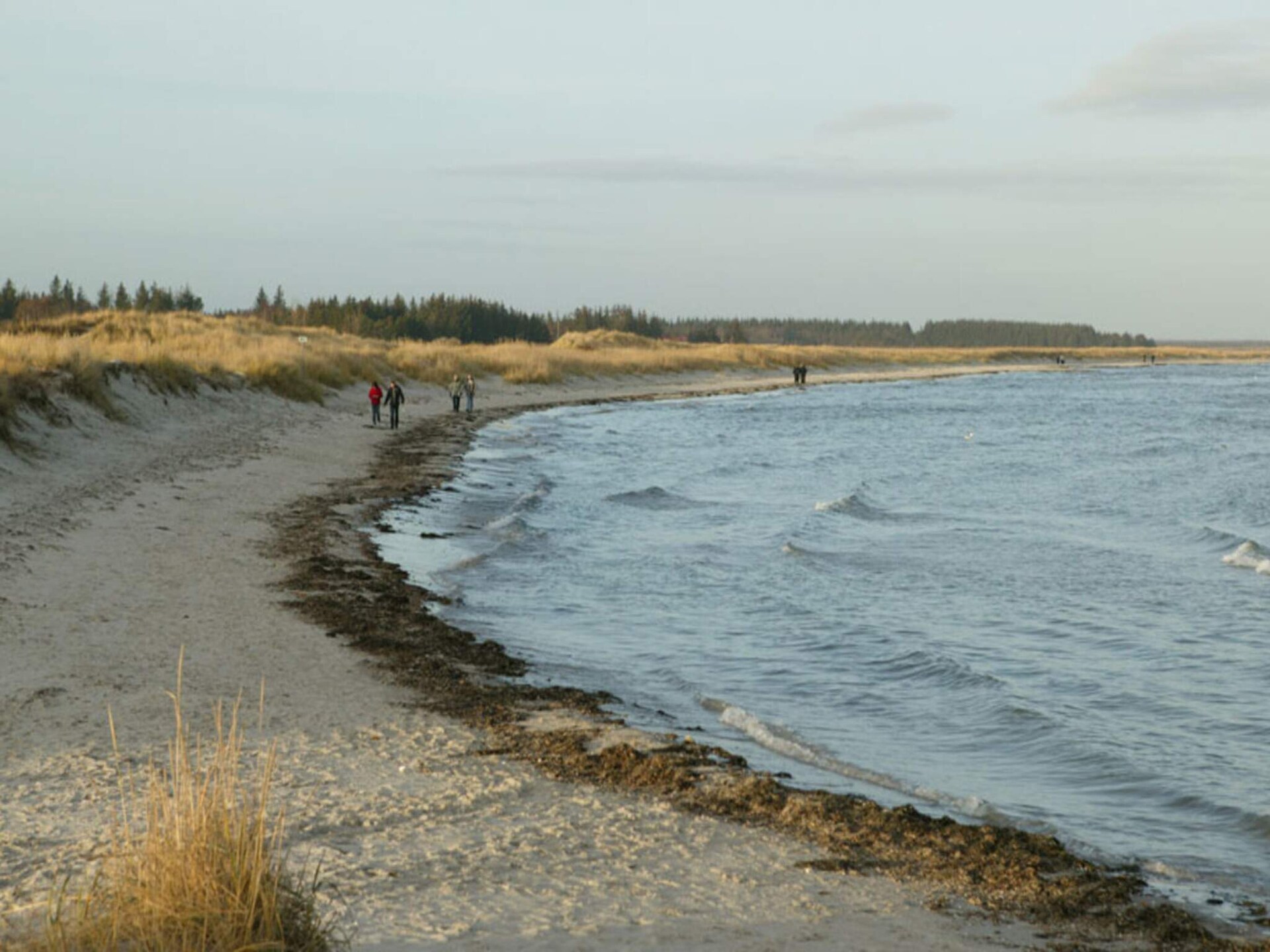 Knus vakantiehuis aan golfbaan, 1 km van zee in Hals, Denemarken - foto 10