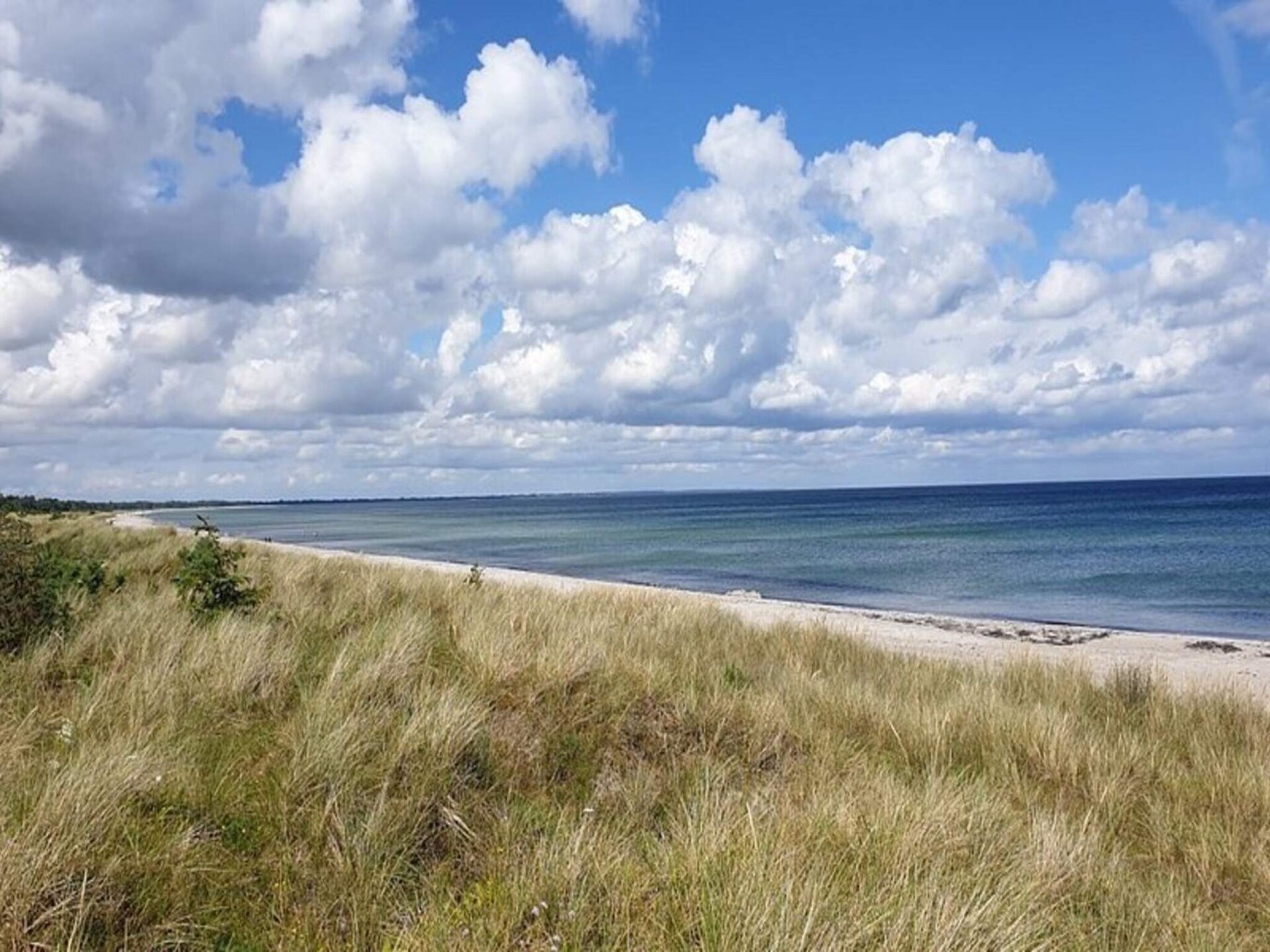 Knus vakantiehuis aan golfbaan, 1 km van zee in Hals, Denemarken - foto 26