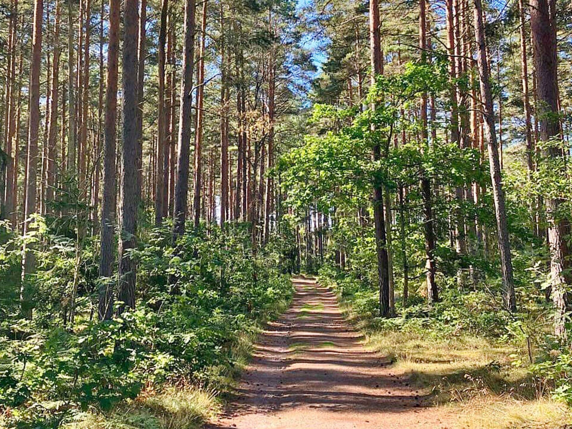 6-persoons vakantiehuis aan zee in Rockneby - foto 11