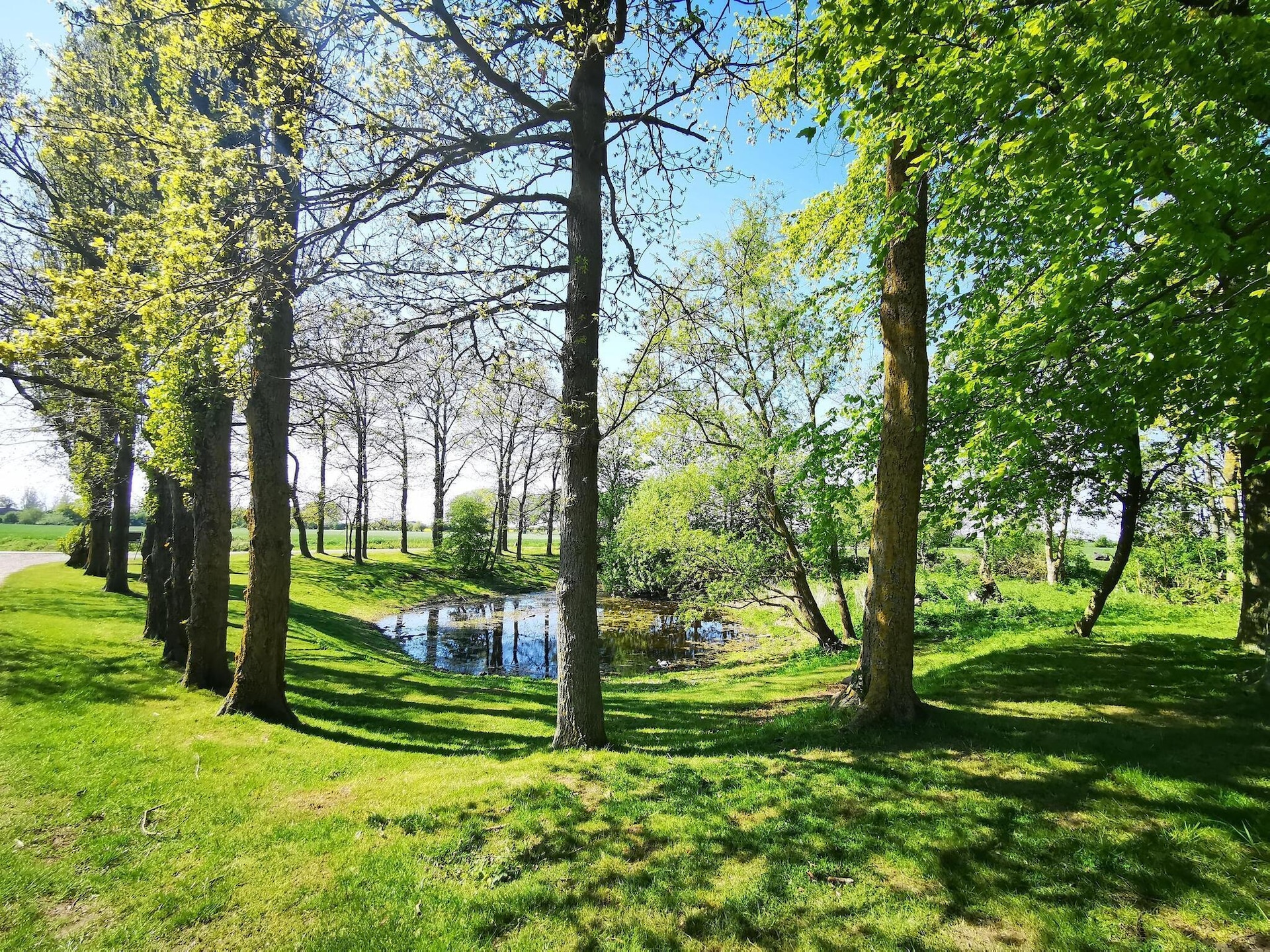 Modern en ruim appartement in Petersdorf op Fehmarn - foto 29