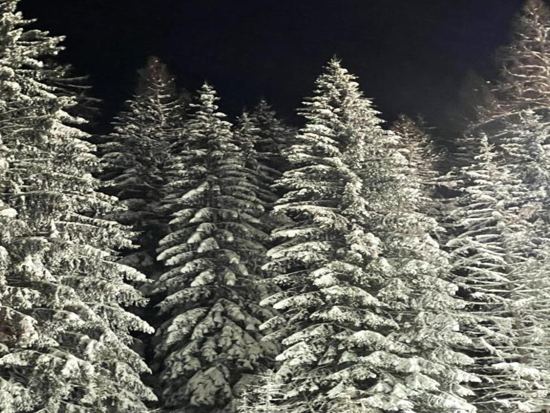 Aan de piste: Sfeervol vakantiehuis in Willingen (Upland) - foto 36