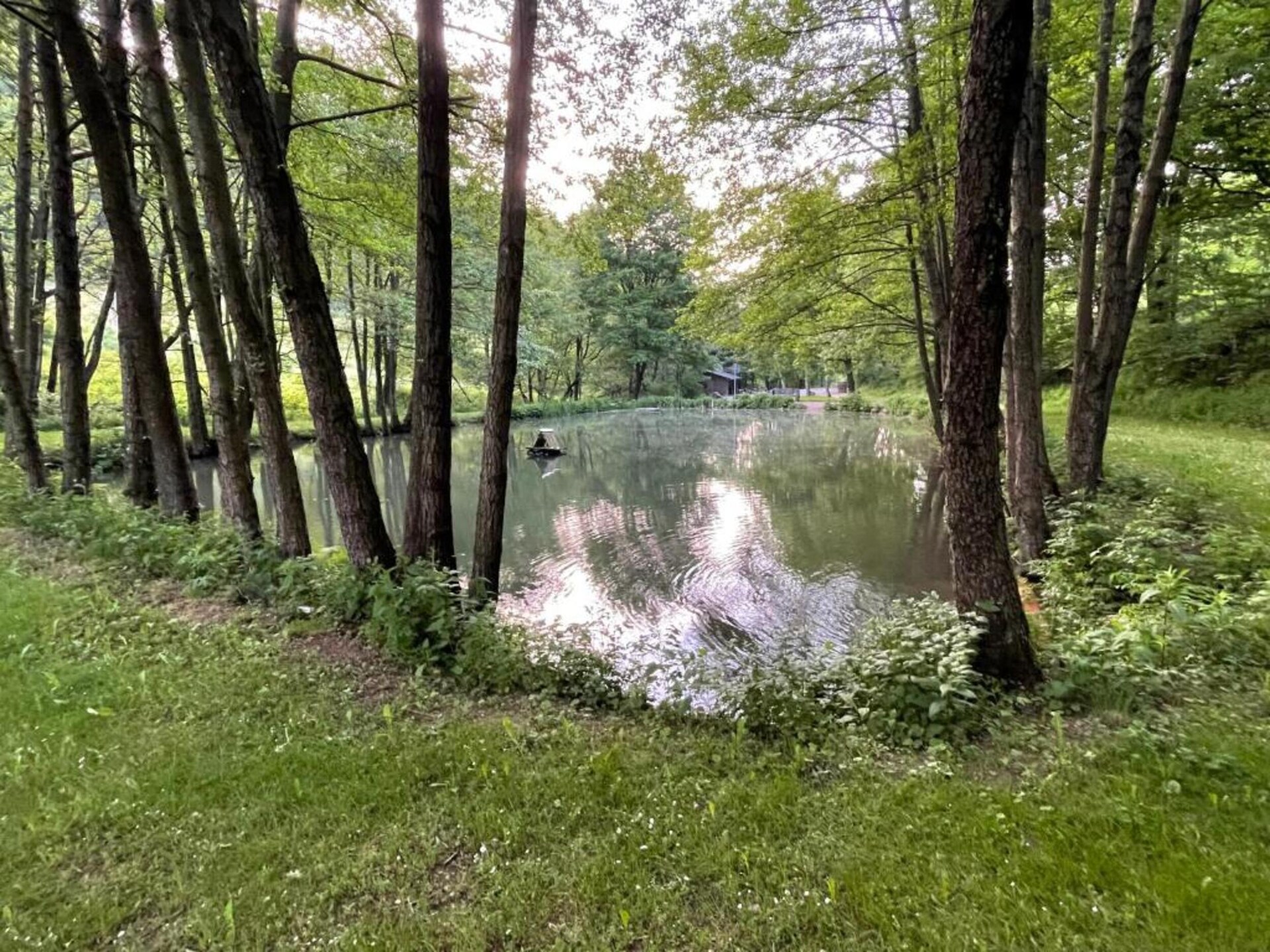 Aan de piste: Sfeervol vakantiehuis in Willingen (Upland) - foto 26