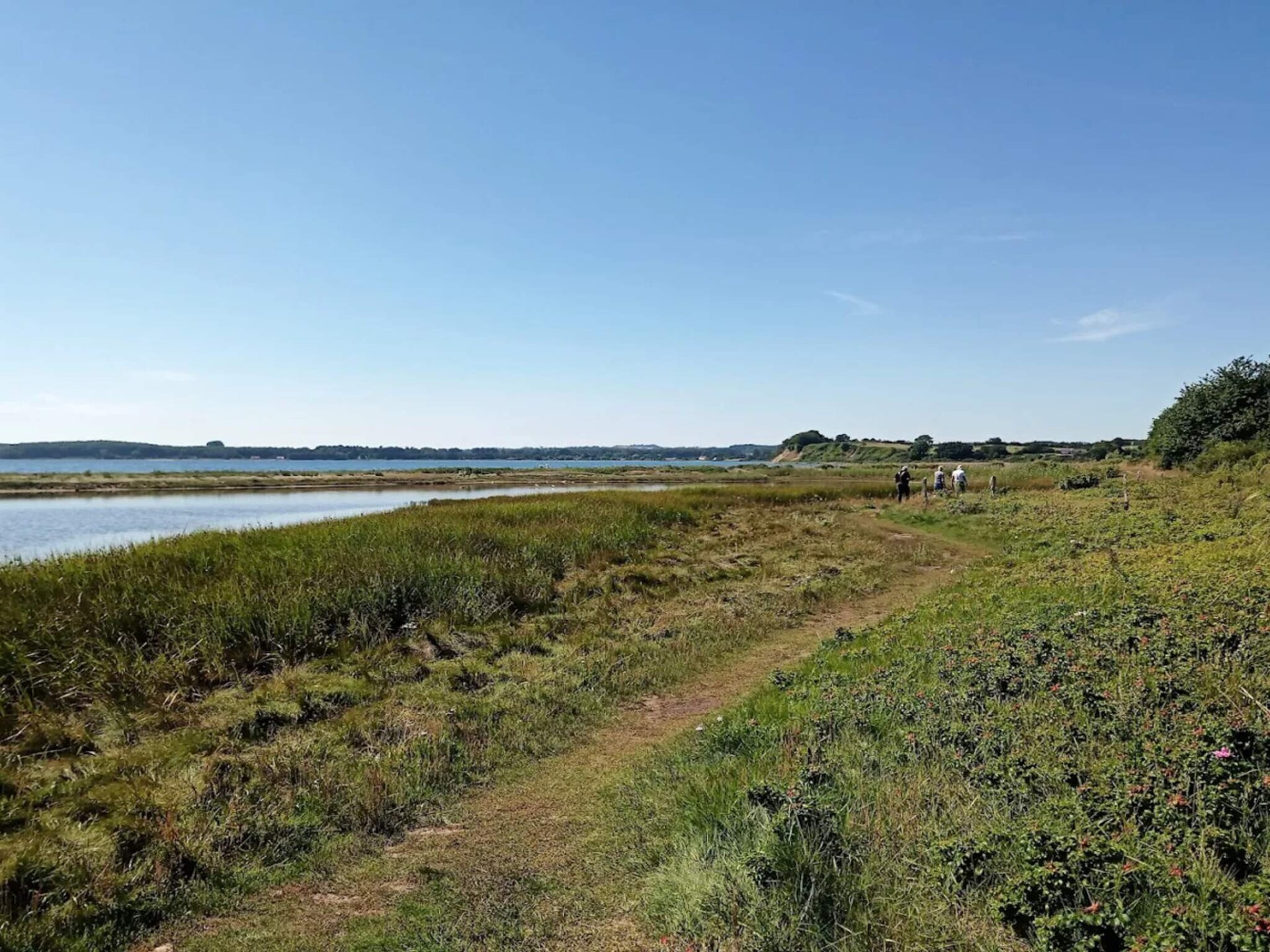 Op 250 m van het strand: Knus vakantiehuis in Rønde voor 4 personen - foto 11