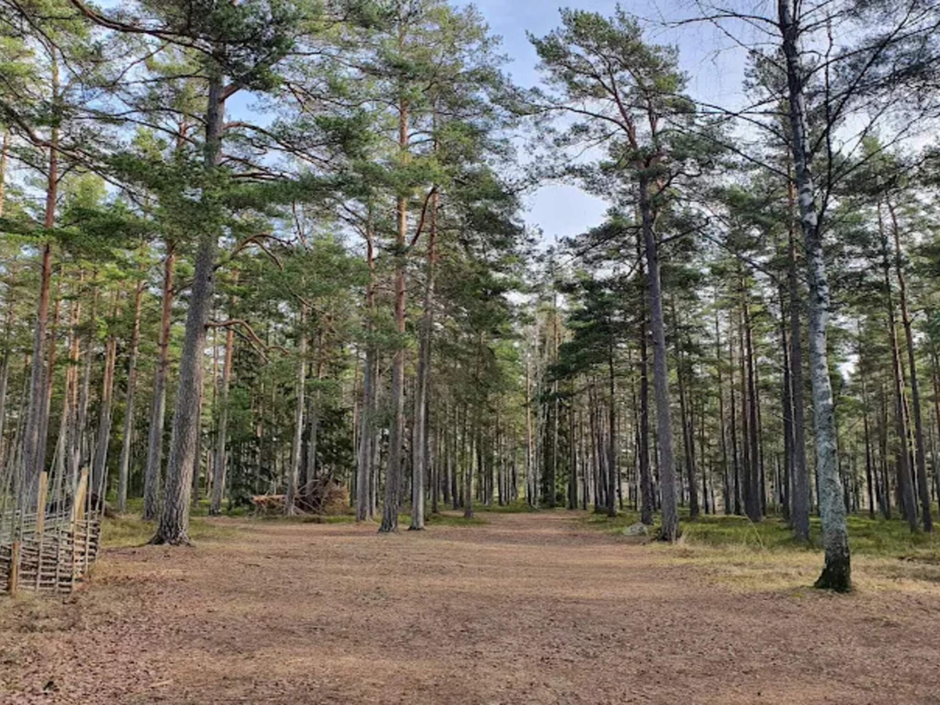 Idyllische blokhut aan het Stora Färgen-meer met panoramisch uitzicht - foto 8