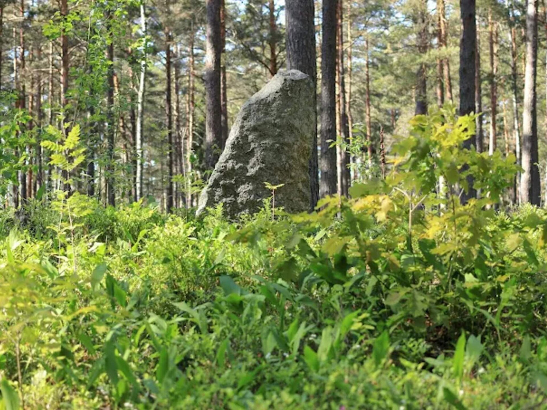 Idyllische blokhut aan het Stora Färgen-meer met panoramisch uitzicht - foto 9