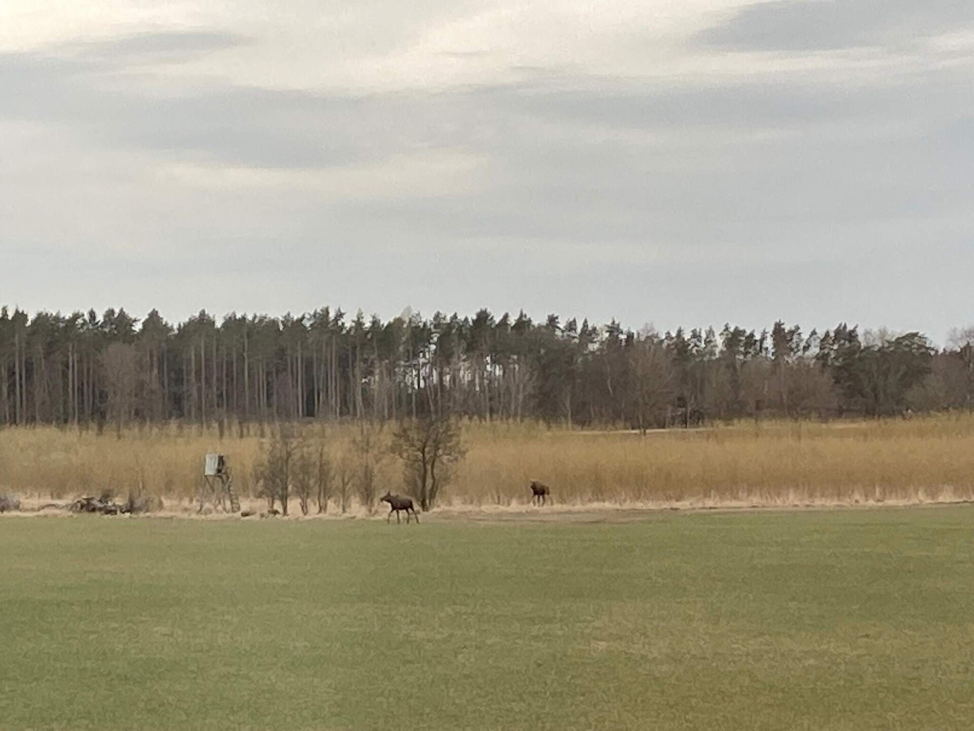 Charmant rood vakantiehuis in landelijke idylle bij Grästorp, Zweden - foto 10