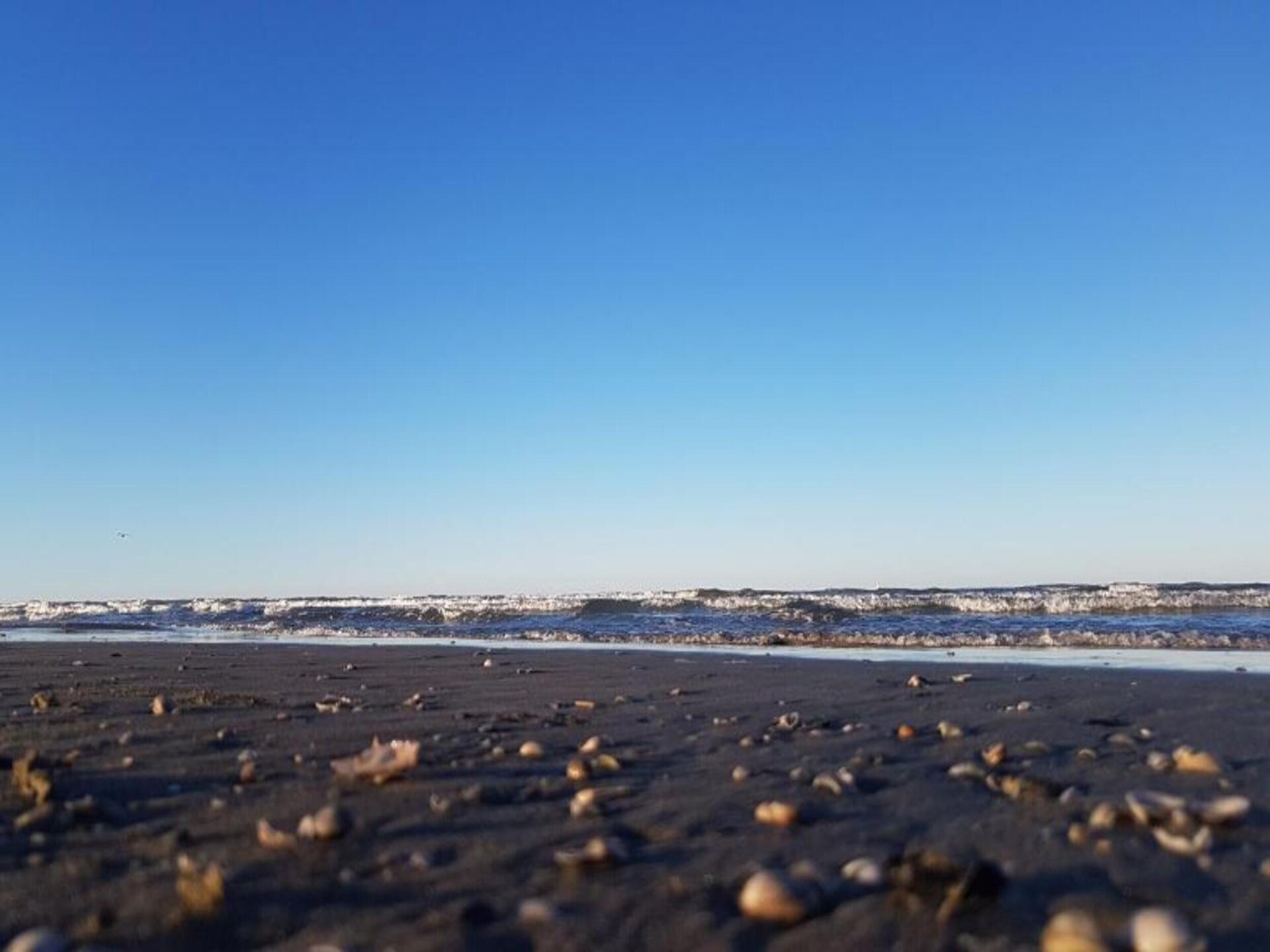 Sfeervol landhuis Antares in Cesenatico voor 4 personen - foto 26