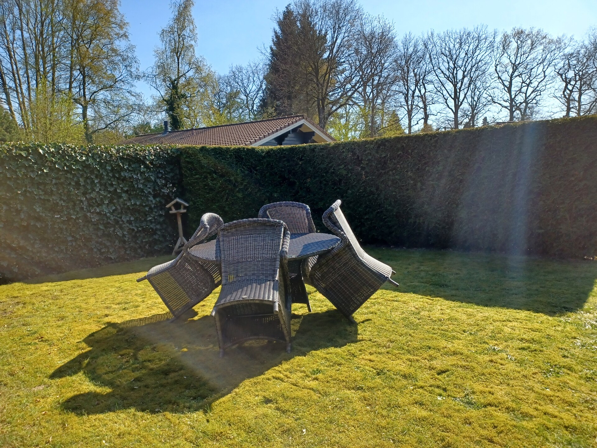 Vrijstaand vakantiehuis met veranda in het groene hart van Gelderland - foto 21