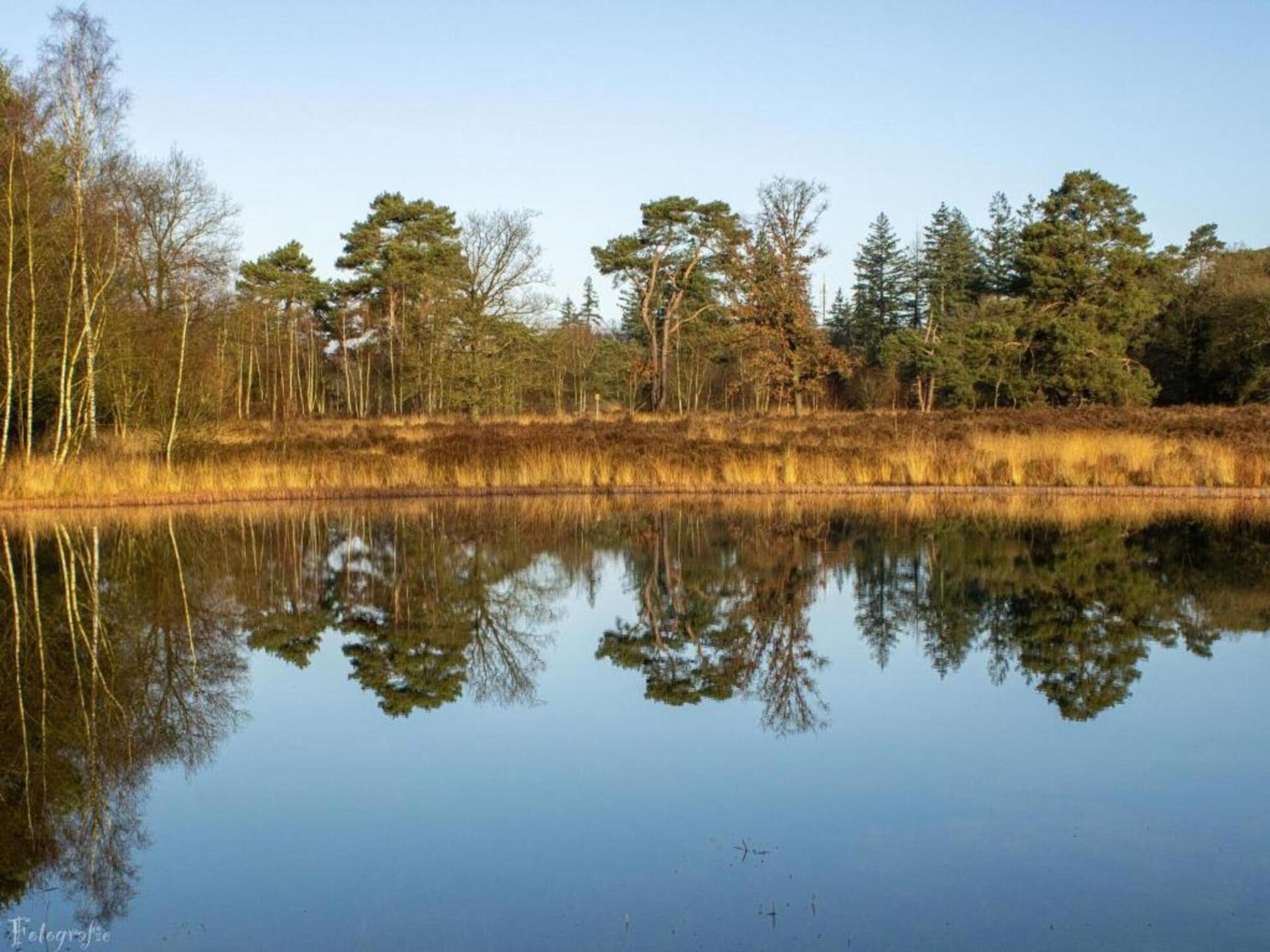 Vrijstaand vakantiehuis met veranda in het groene hart van Gelderland - foto 31