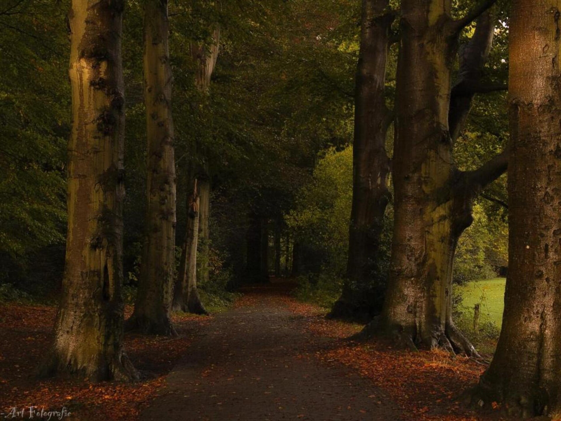 Vrijstaand vakantiehuis met veranda in het groene hart van Gelderland - foto 33
