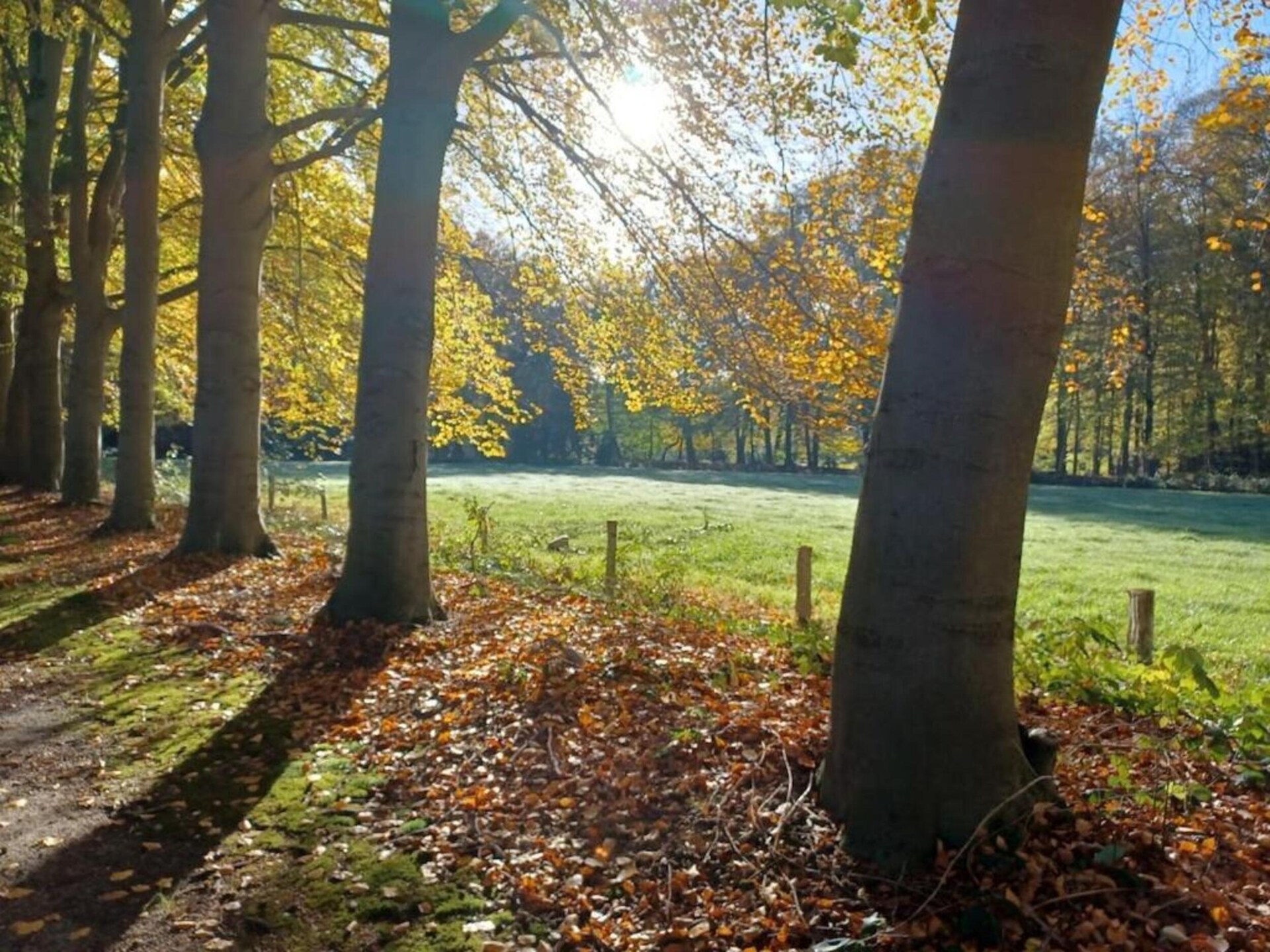 Vrijstaand vakantiehuis met veranda in het groene hart van Gelderland - foto 35