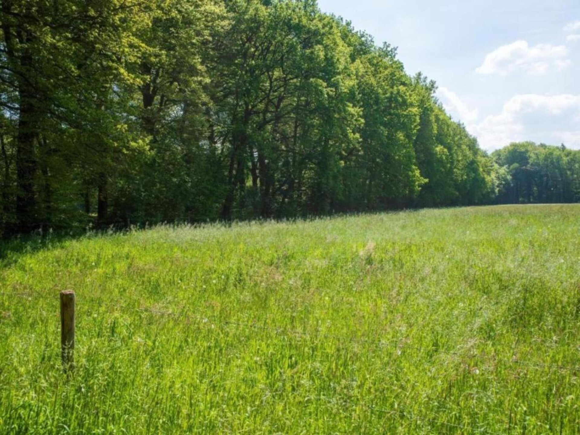 Vrijstaand vakantiehuis met veranda in het groene hart van Gelderland - foto 30
