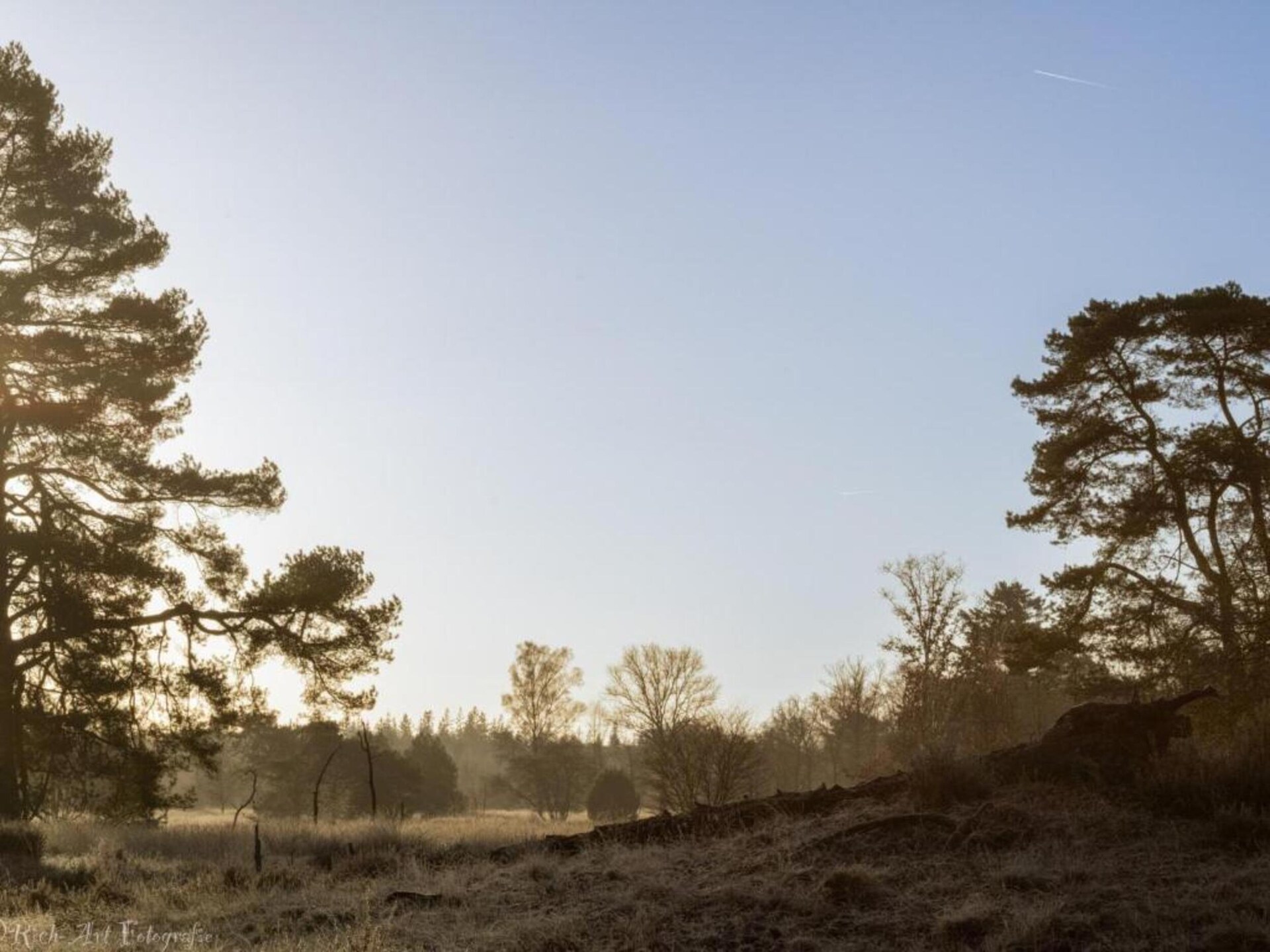Vrijstaand vakantiehuis met veranda in het groene hart van Gelderland - foto 37