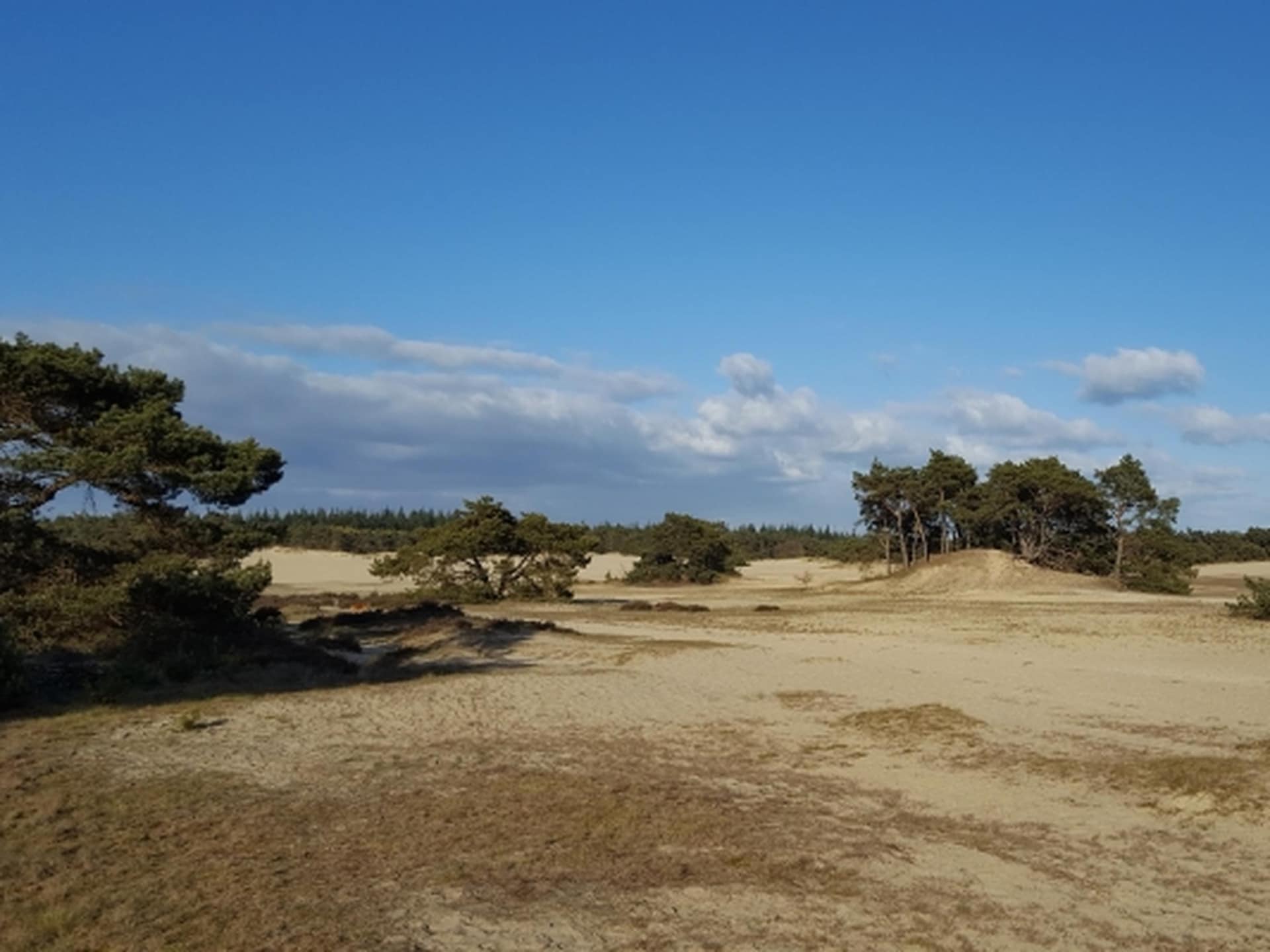 Op 1,0 km van het meer: Rustig vakantiehuis in Hulshorst voor 5 personen - foto 28