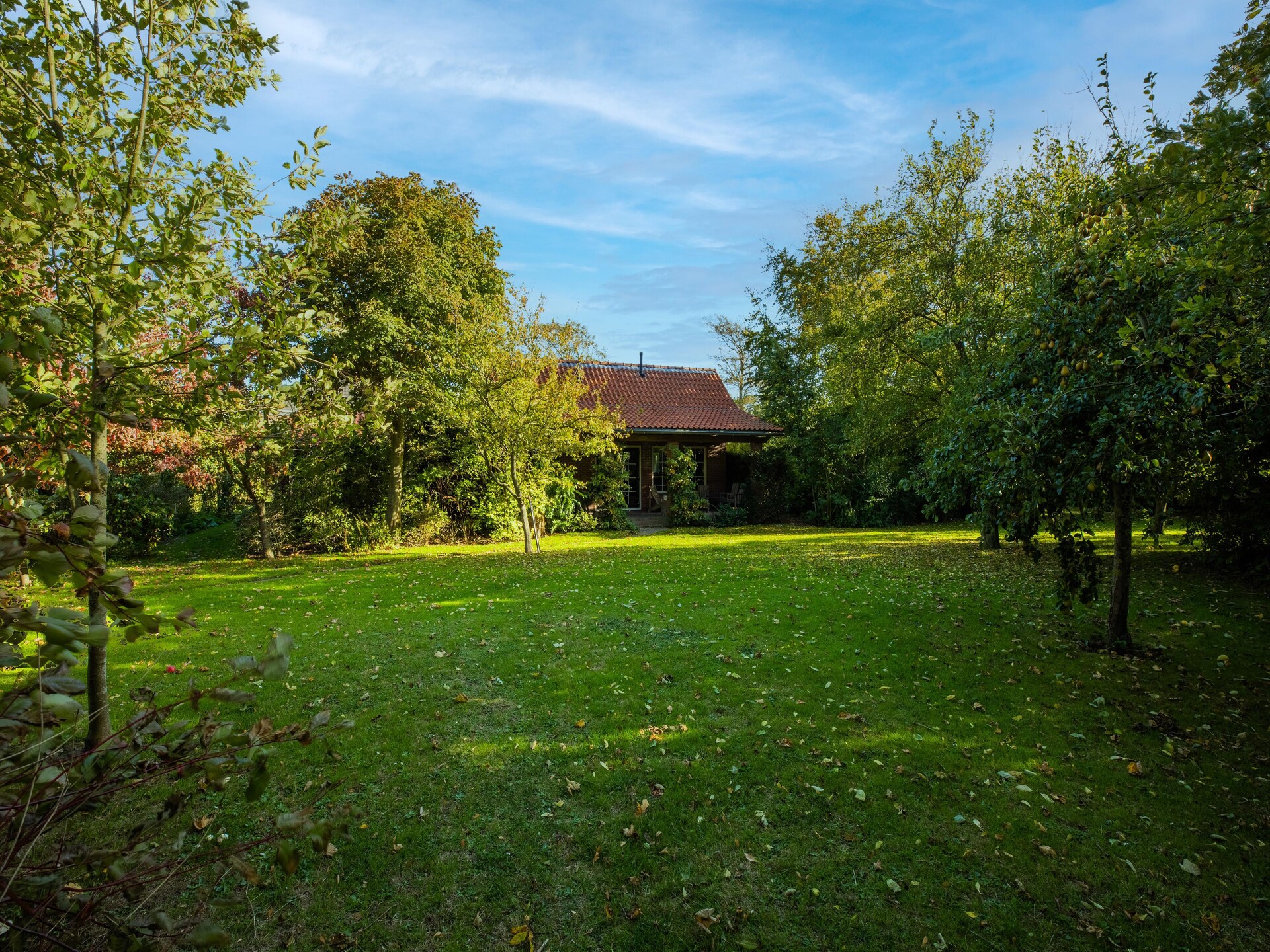 Vrijstaand vakantiehuis in Wijnaldum, 2 km van de Friese kust - foto 28