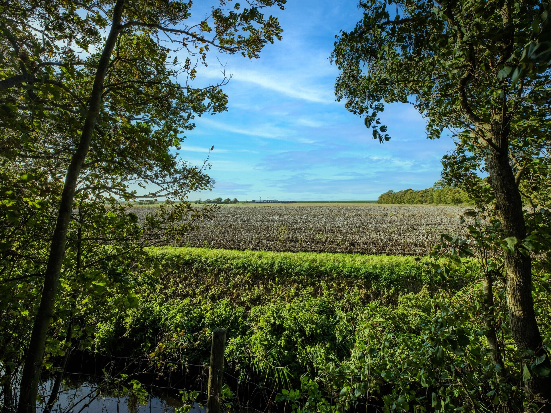 Vrijstaand vakantiehuis in Wijnaldum, 2 km van de Friese kust - foto 35