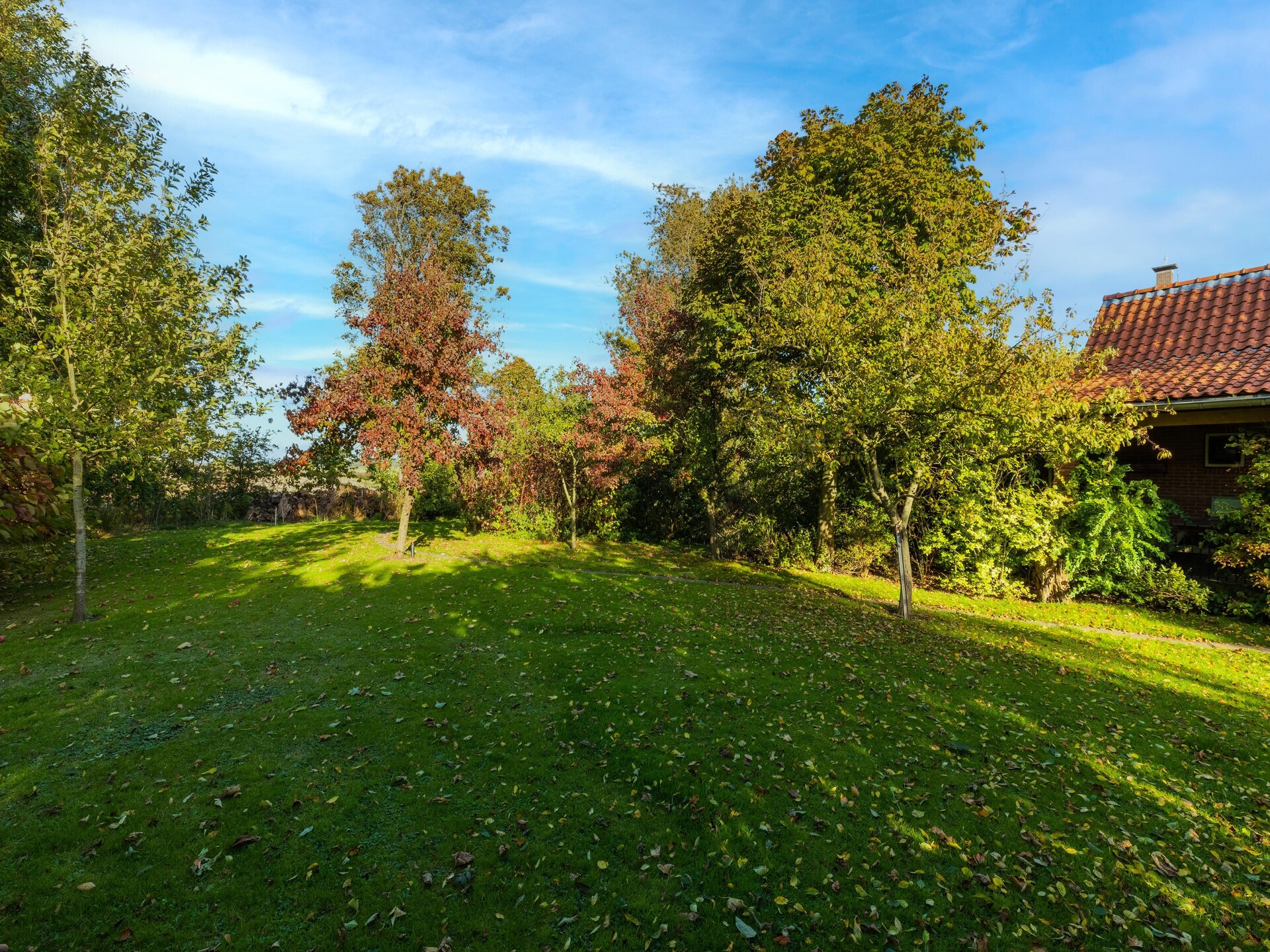 Vrijstaand vakantiehuis in Wijnaldum, 2 km van de Friese kust - foto 30