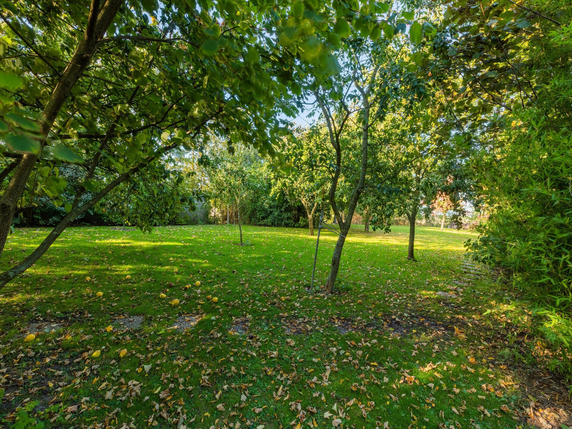 Vrijstaand vakantiehuis in Wijnaldum, 2 km van de Friese kust - foto 31