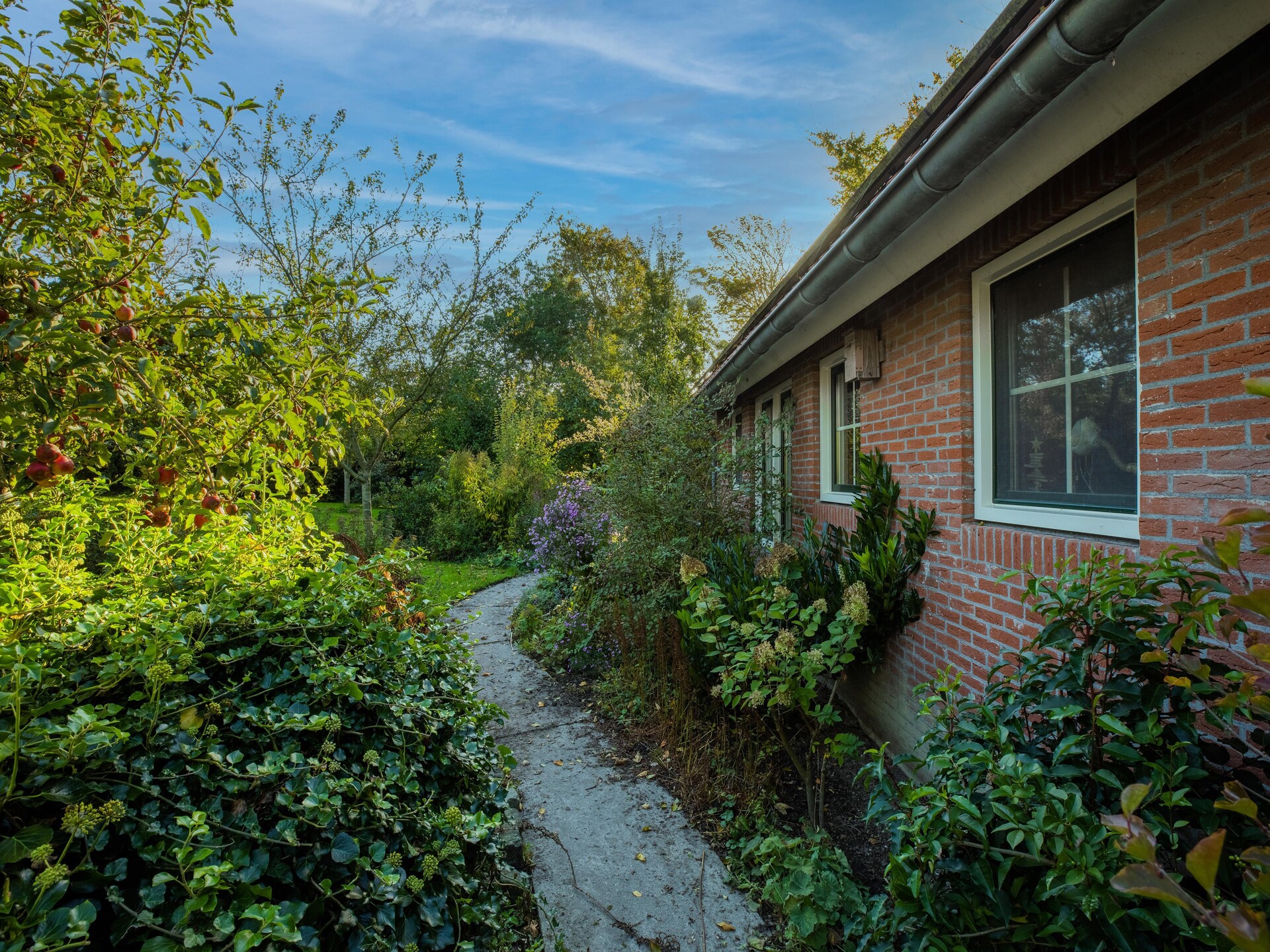 Vrijstaand vakantiehuis in Wijnaldum, 2 km van de Friese kust - foto 37