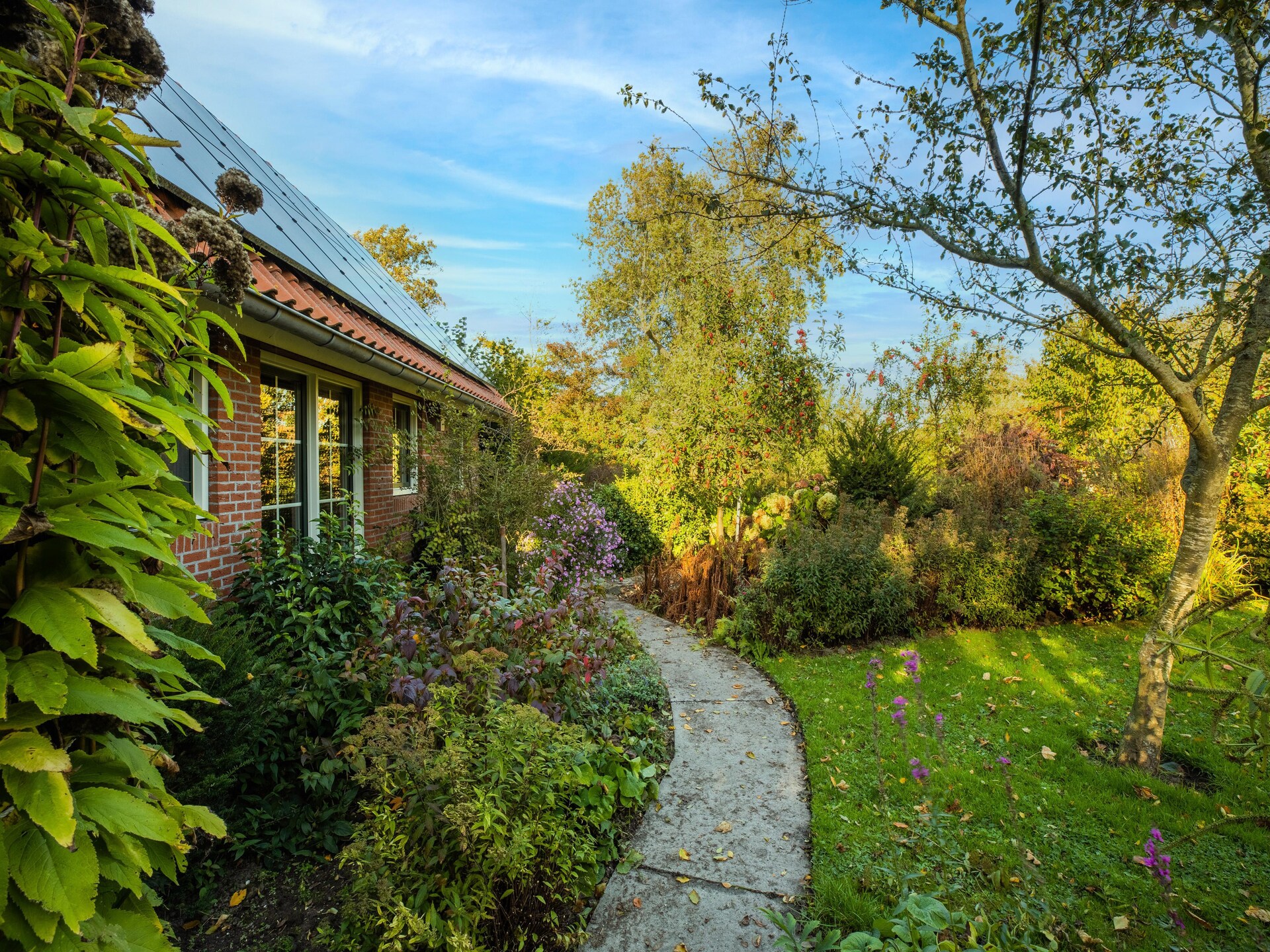 Vrijstaand vakantiehuis in Wijnaldum, 2 km van de Friese kust - foto 33