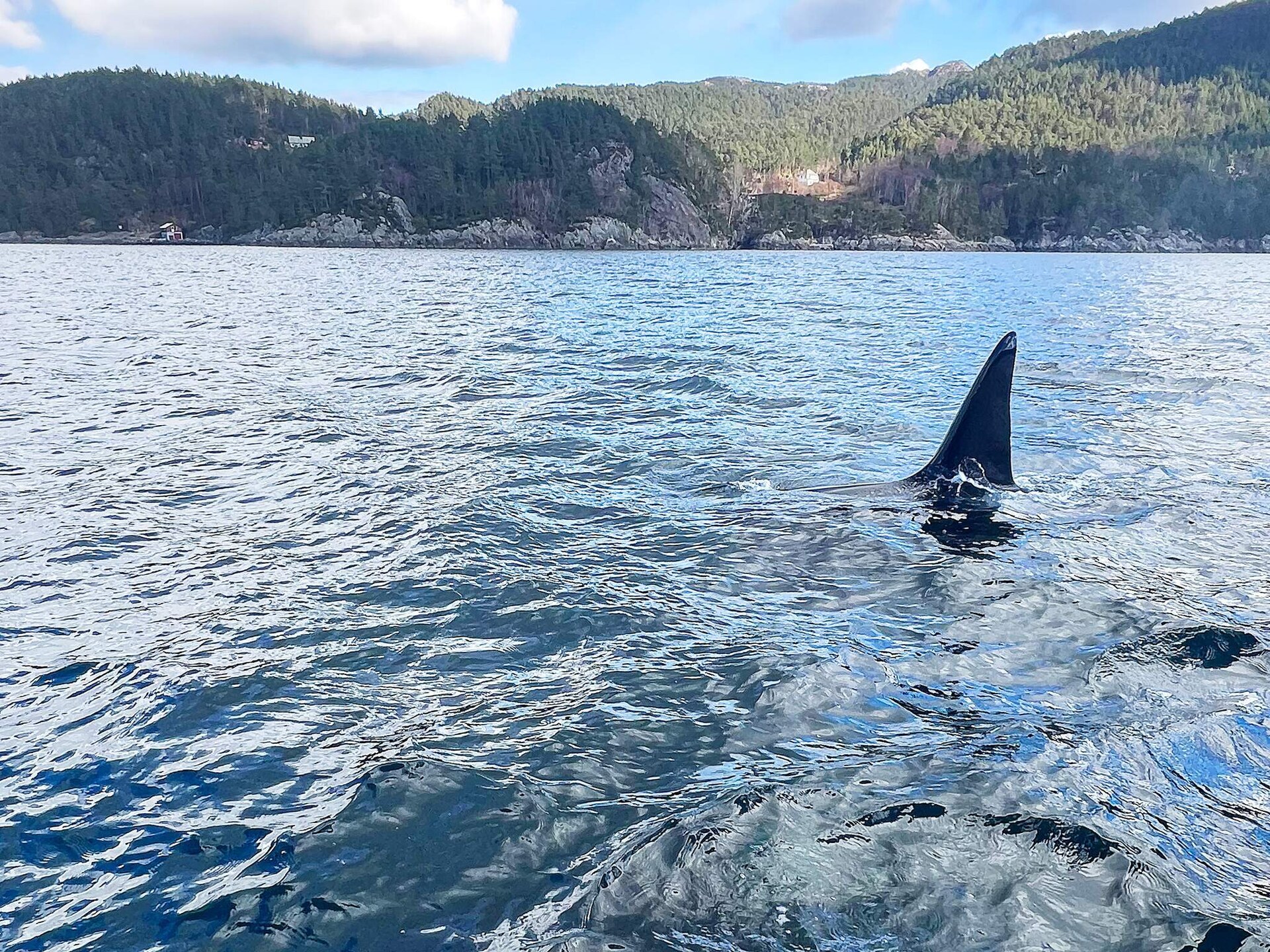 Exclusief vissershuis aan de fjord op Huglo met eigen kustlijn - foto 26