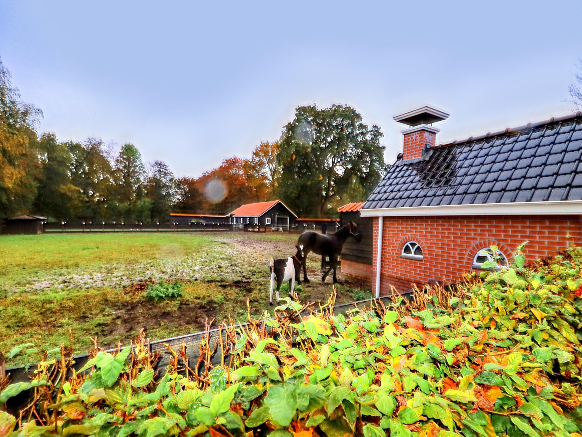 Landelijk appartement Notenbomer in Kornhorn met uitzicht over Groningen - foto 37