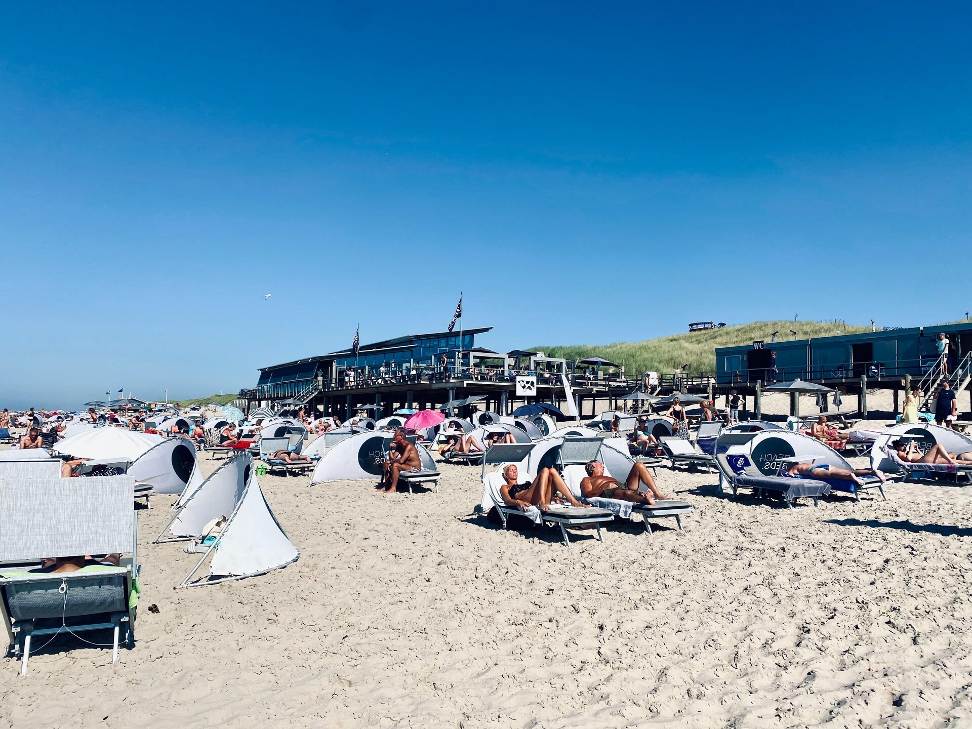INFINITY: Authentiek strandhuisje in bos bij zee, Callantsoog - foto 27