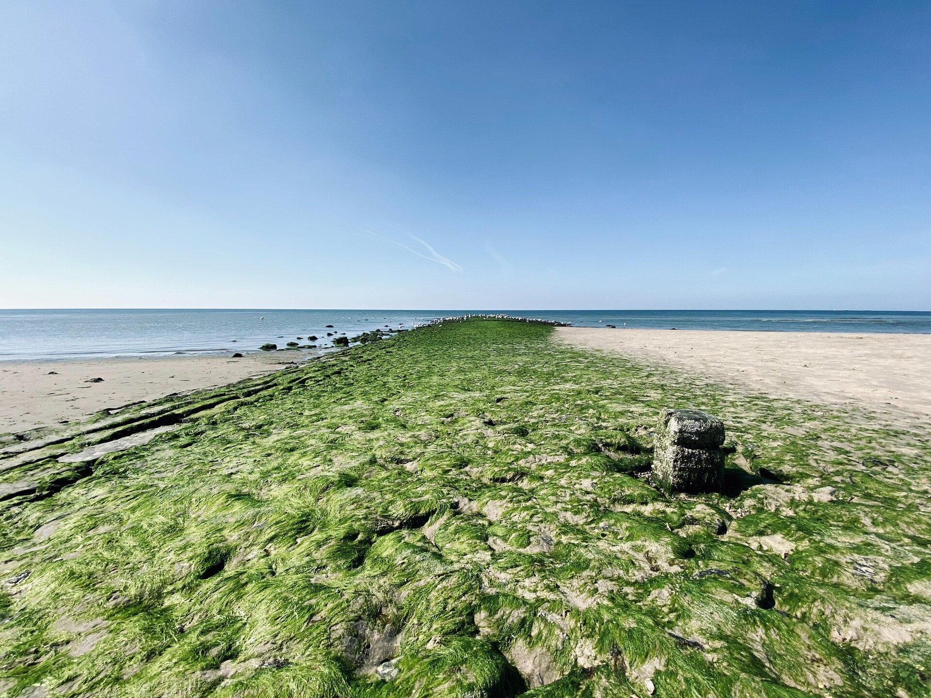INFINITY: Authentiek strandhuisje in bos bij zee, Callantsoog - foto 29
