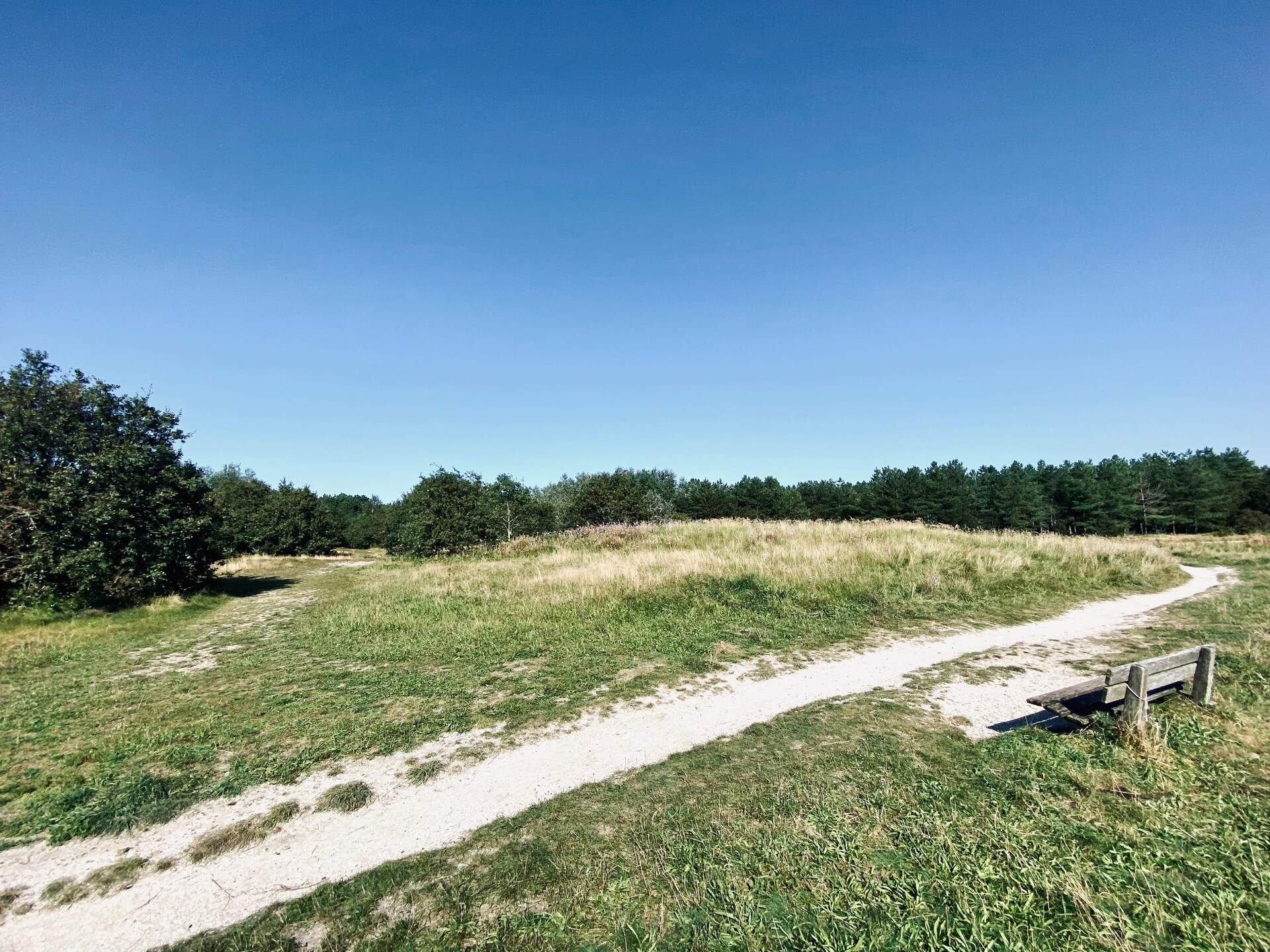 INFINITY: Authentiek strandhuisje in bos bij zee, Callantsoog - foto 30