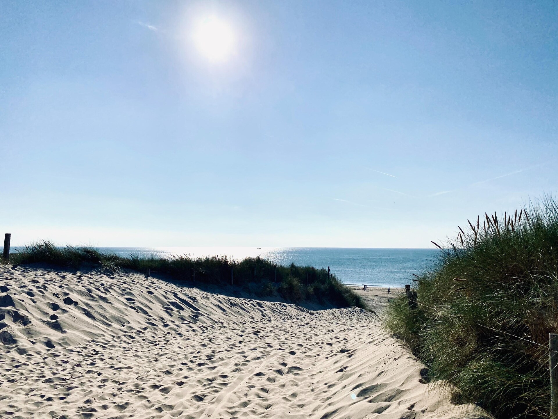 INFINITY: Authentiek strandhuisje in bos bij zee, Callantsoog - foto 31