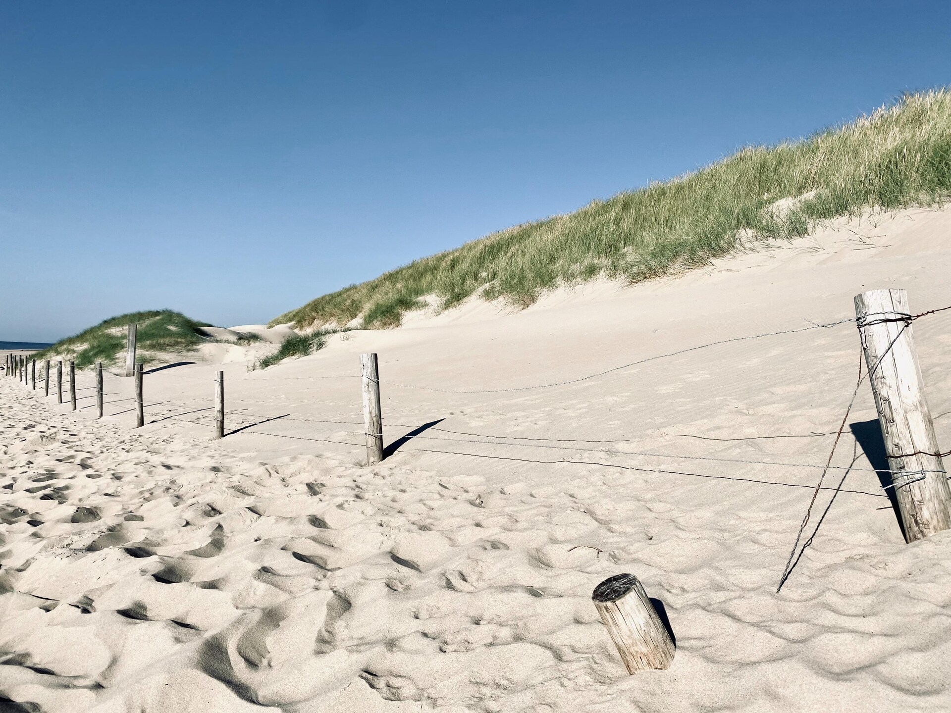 INFINITY: Authentiek strandhuisje in bos bij zee, Callantsoog - foto 32