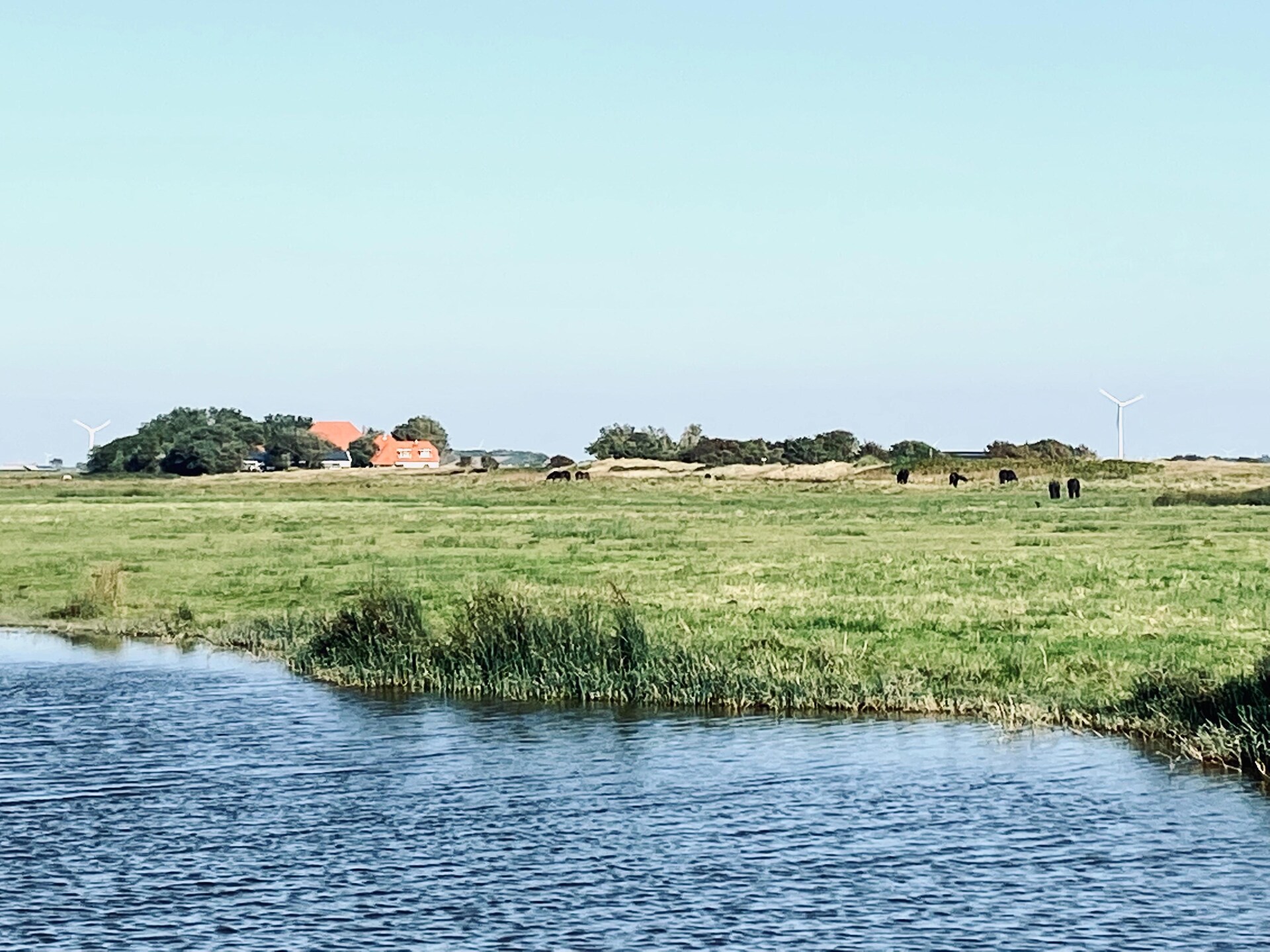 INFINITY: Authentiek strandhuisje in bos bij zee, Callantsoog - foto 33