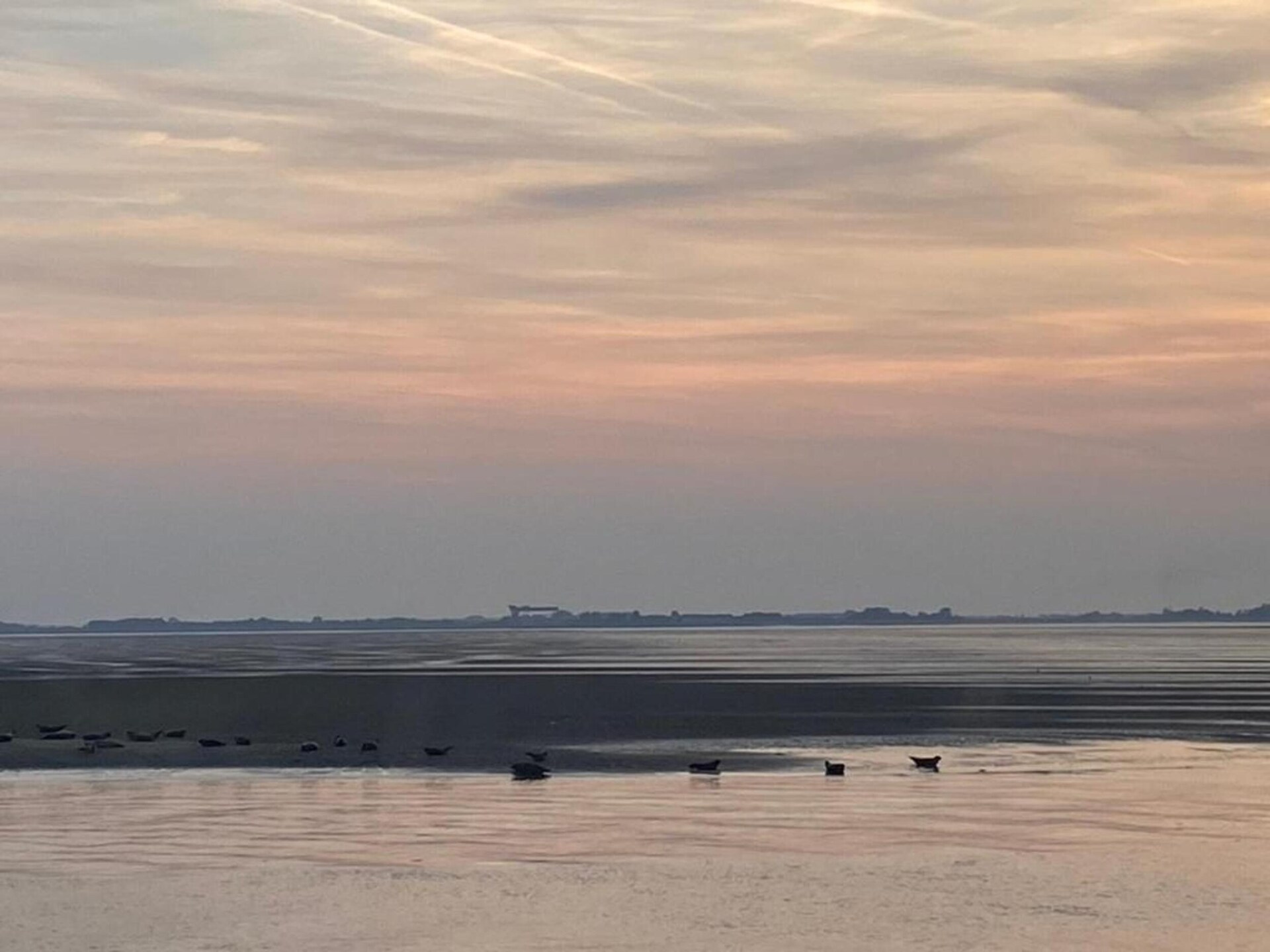 Wellnessvilla De Scholekster: privésauna, strand op 300m, Zeeland - foto 32