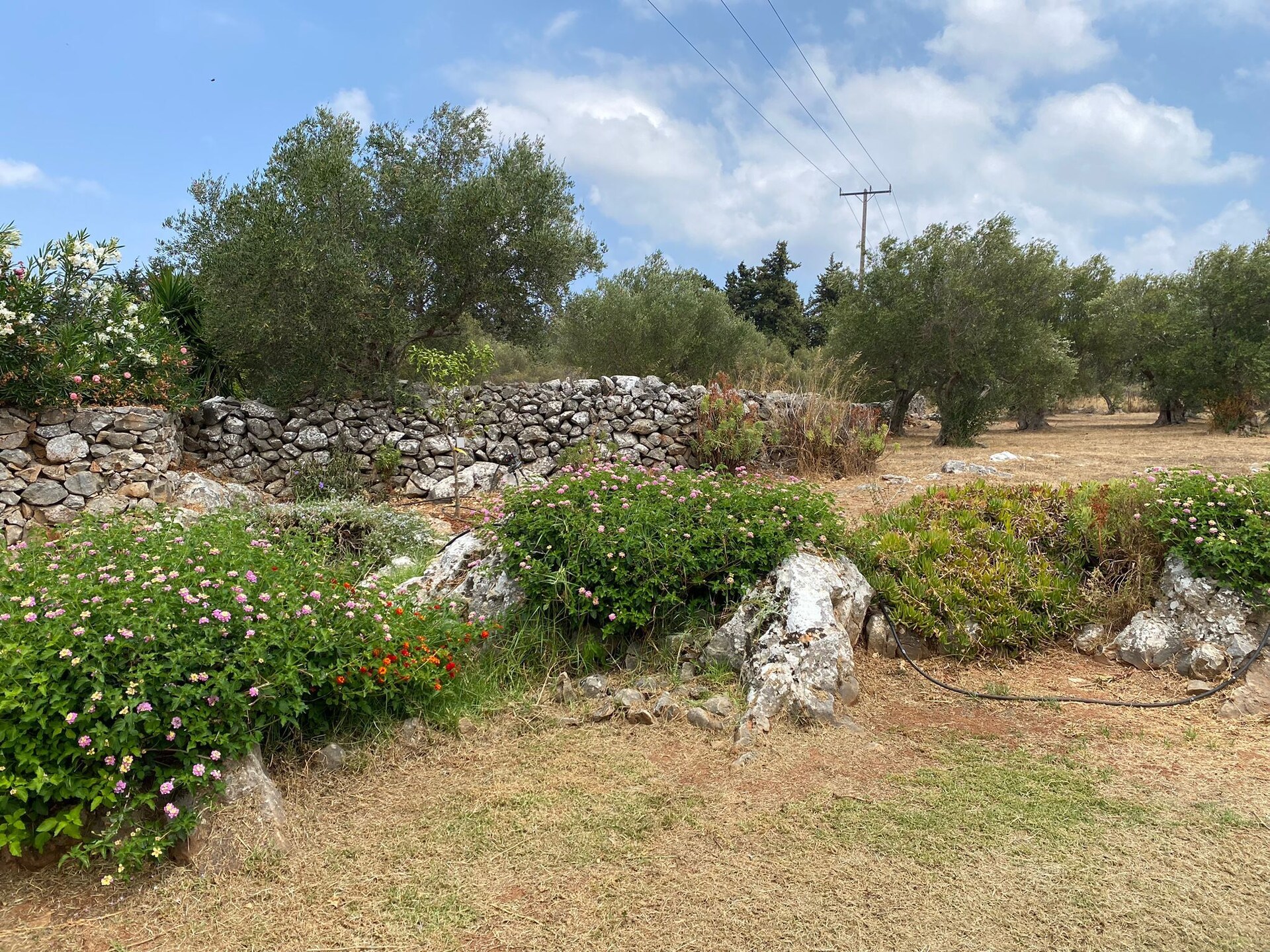 Villa Aloni: Authentieke villa met privézwembad en zeezicht op Kreta - foto 20