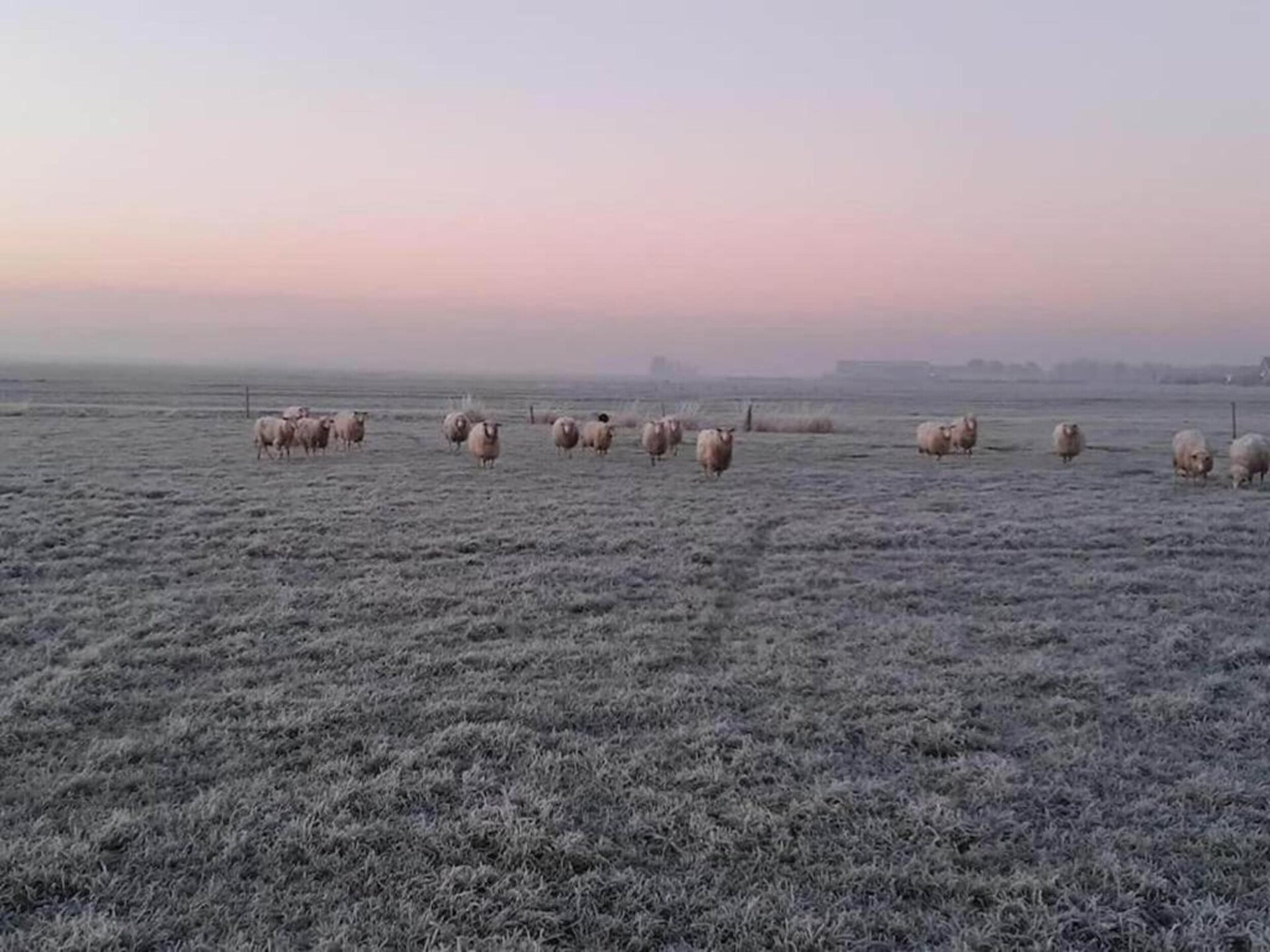 Rietgedekte villa met aanlegsteiger op rustig vakantiepark in Friesland - foto 34