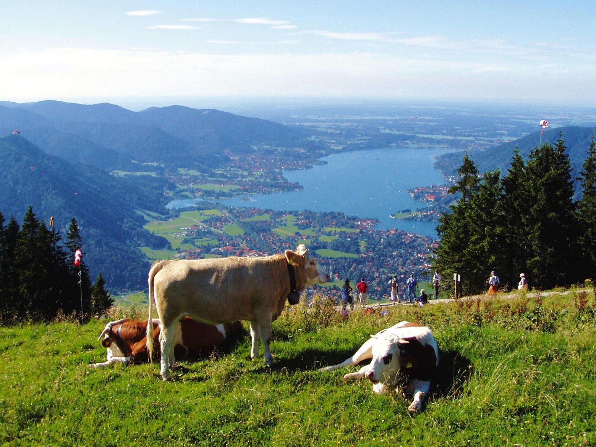 Knus appartement aan de voet van de Königssee met balkon en uitzicht - foto 33