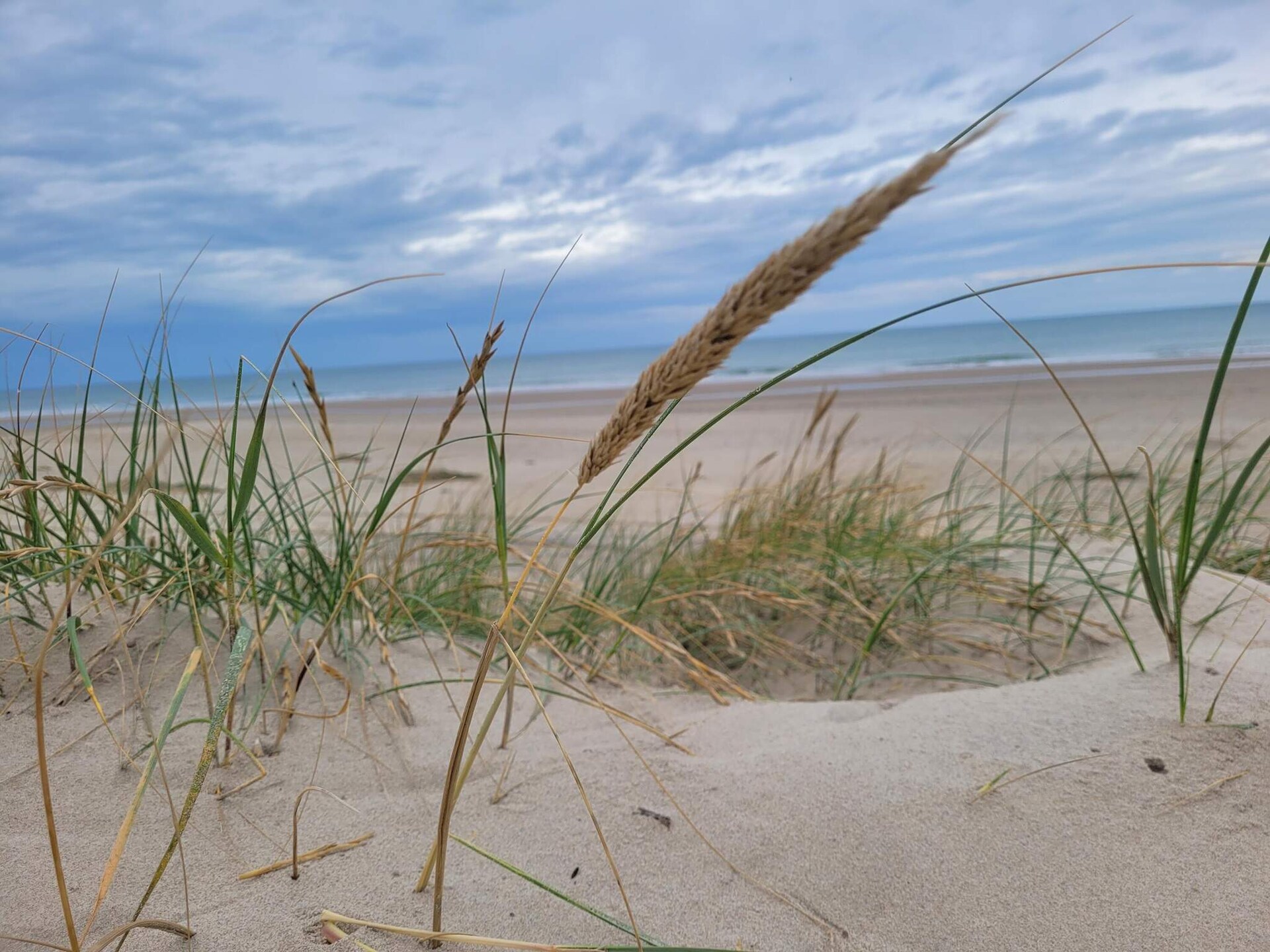 Stijlvol vakantiehuis aan de golfbaan bij Tornby Strand, 650m van zee - foto 10
