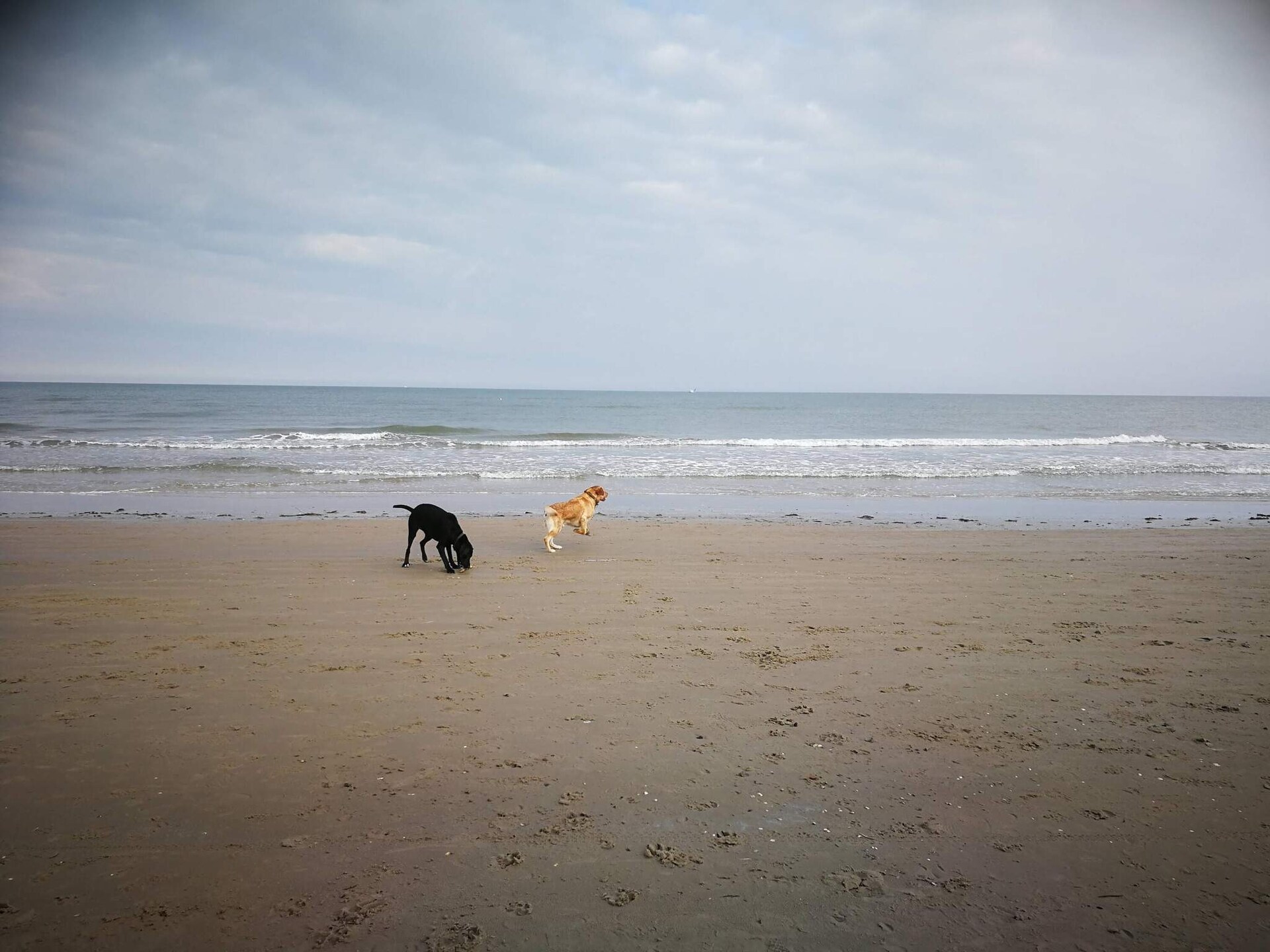 Stijlvol vakantiehuis aan de golfbaan bij Tornby Strand, 650m van zee - foto 18