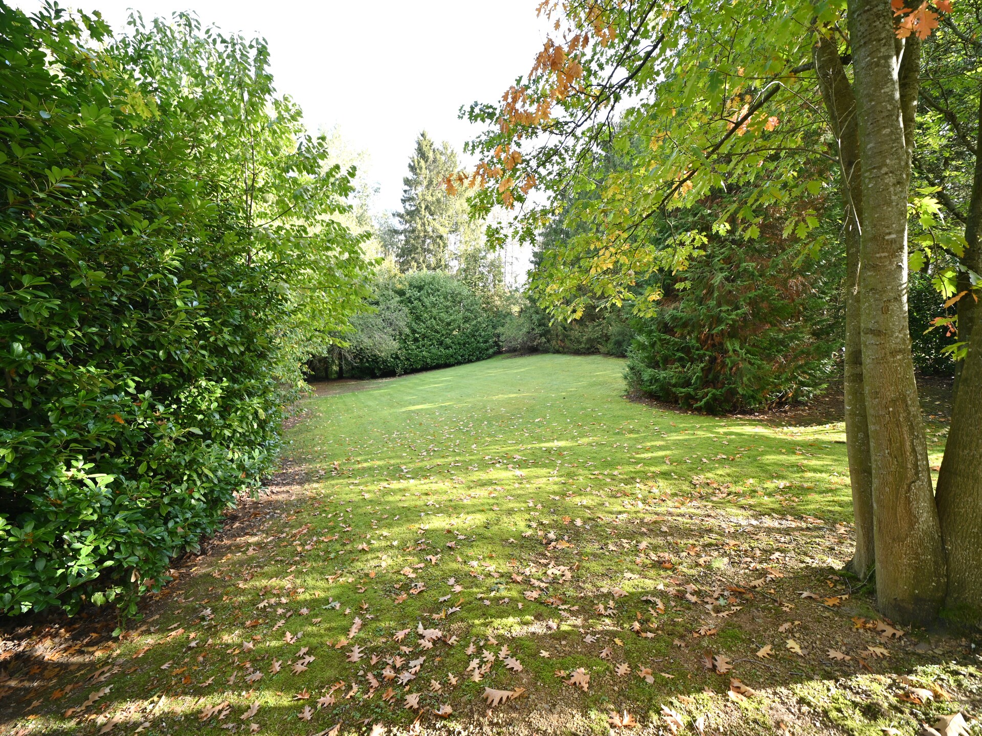 Rustgevend chalet Hortensias voor 4 personen in Somme-Leuze - foto 13